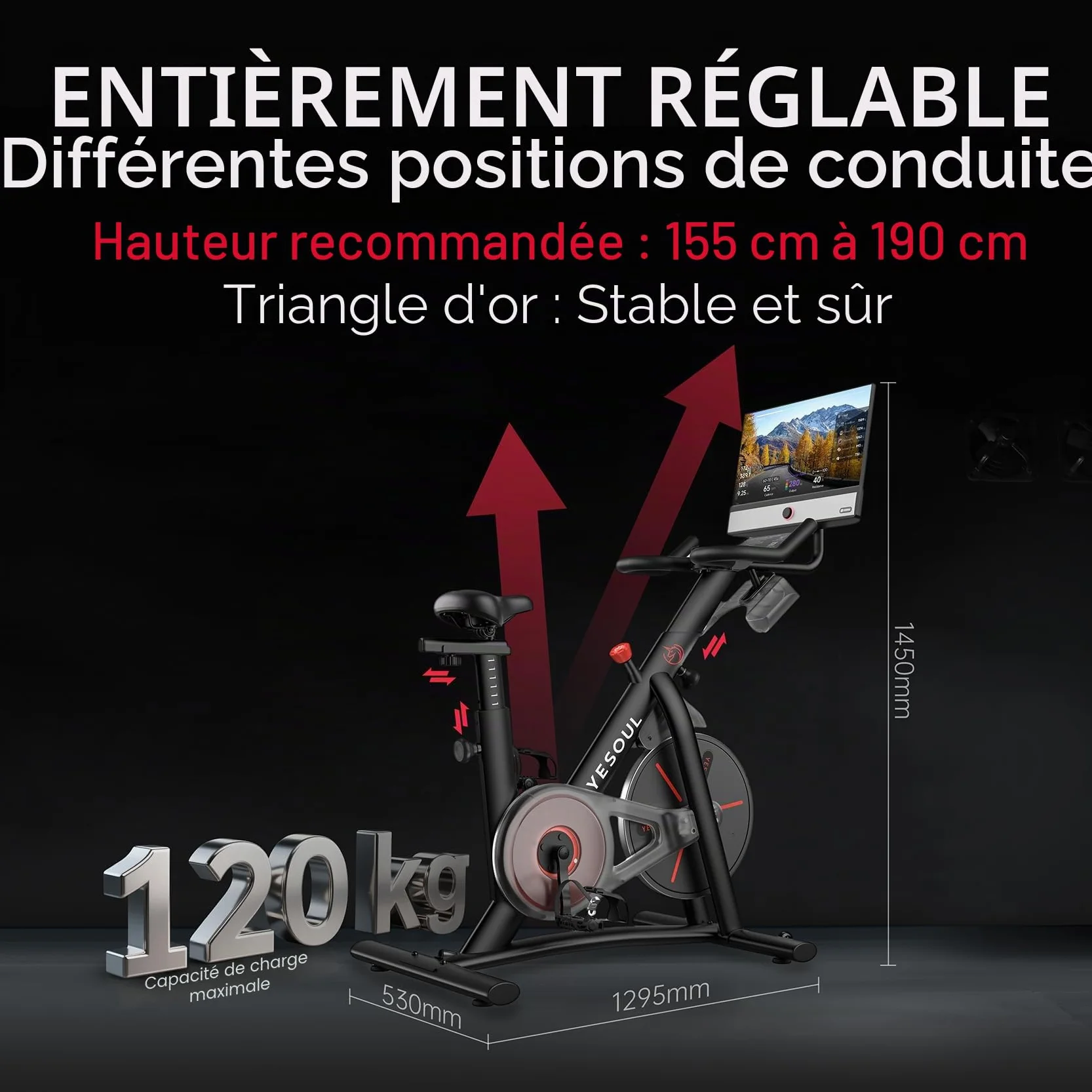 YESOUL G1M Plus Vélo d'appartement magnétique silencieux écran FHD 21,5 pouces son 360° vélo de fitness