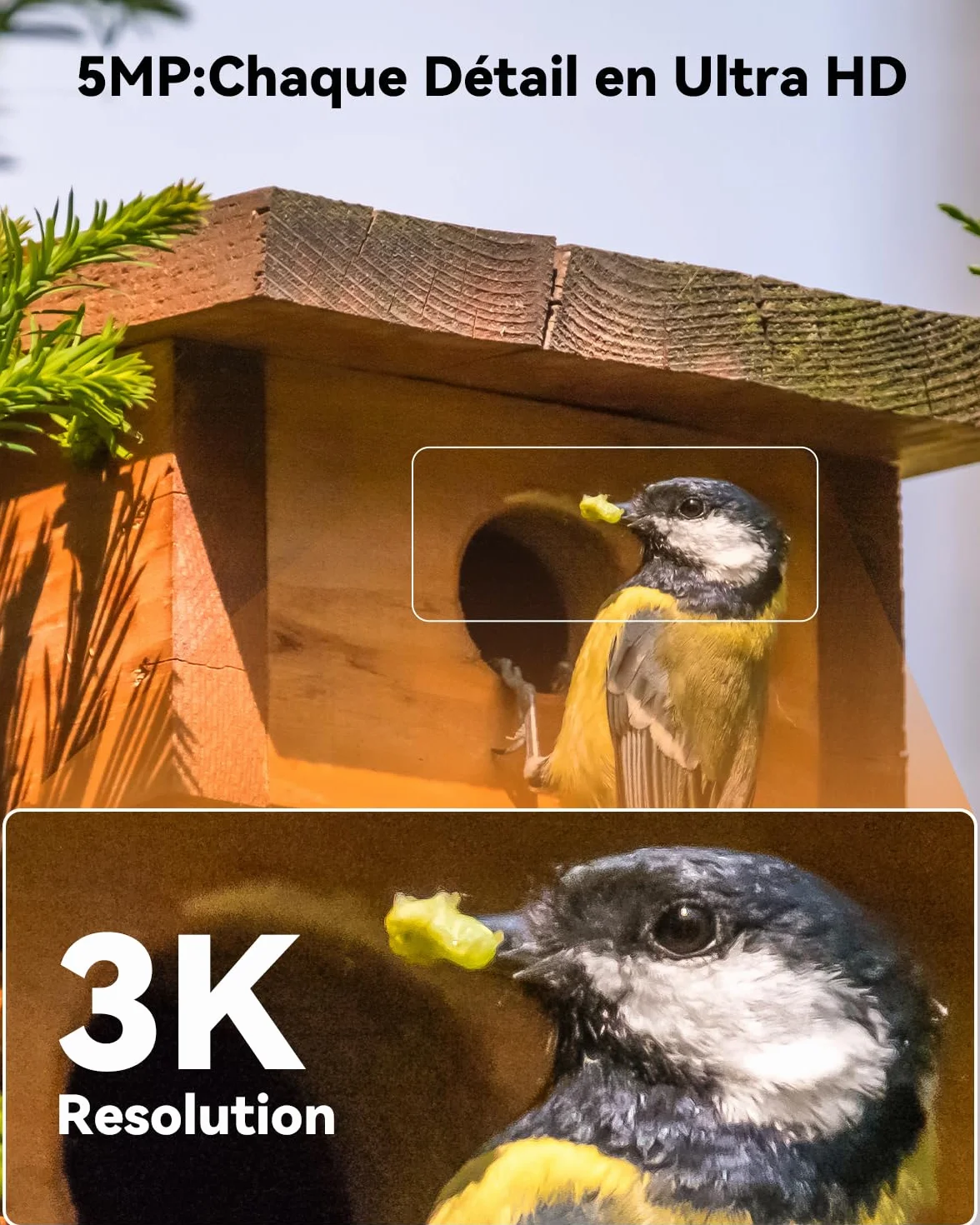 Imou 3K(5MP) Caméra Surveillance WiFi Extérieure sans Fil Solaire, Camera Solaire Exterieur avec IA Détection Humaine, Vision Nocturne Couleur, Audio Bidirectionnel,Mode Privé,Sirène,Étanche IP66