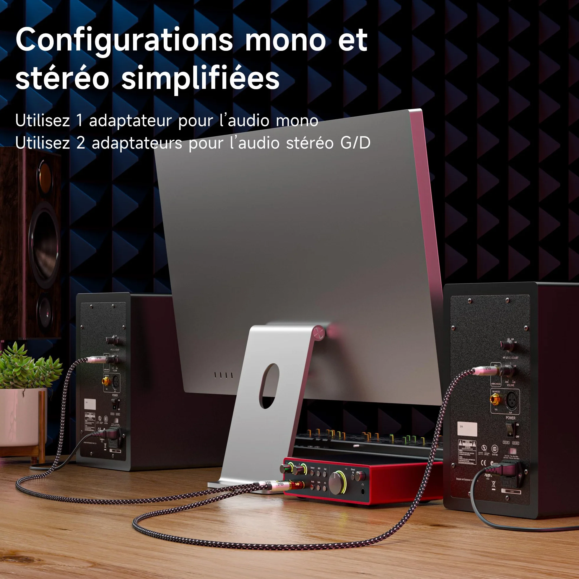 Cable Matters Lot de 4 adaptateurs RCA vers Jack 6,35 mm (1/4") TS Mono – Convertisseur Jack 6,35 mm vers RCA, pour TV, chaîne Hi-FI, ampli, Instruments et équipements Audio domestiques