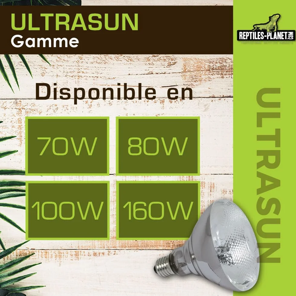Reptiles Planet Ultrasun 70 W Ampoule UVA UVB pour Reptiles