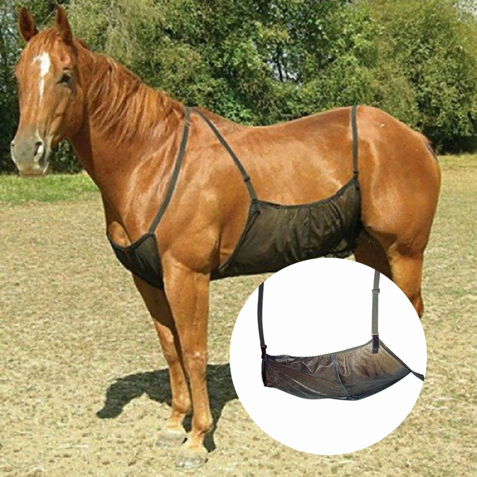 Protection ventilée pour cheval, filet abdominal respirant, 94 x 71 cm, large