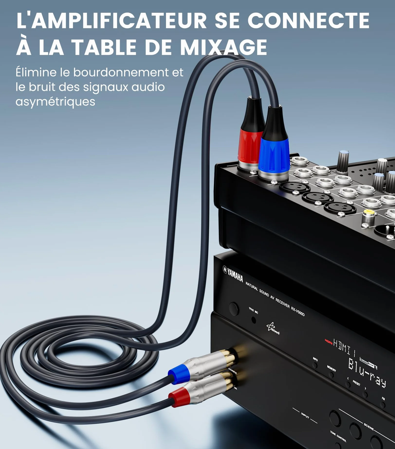Tisino Câble double RCA vers XLR, 2 RCA vers 2 XLR mâles HiFi stéréo connexion microphone câble câble de chemin - 1 m