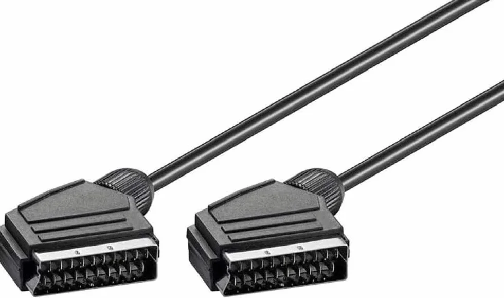 Wentronic 11762-GB Câble 0.6 m Noir