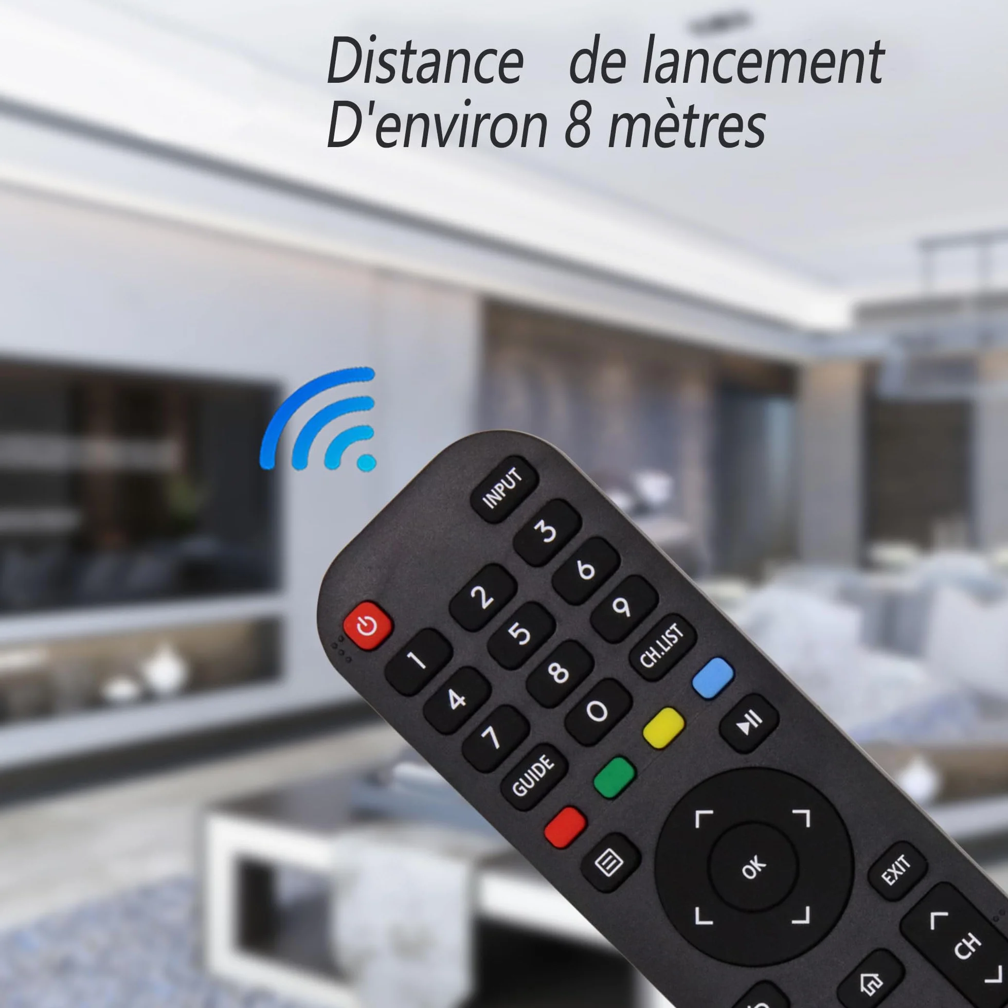 Nouvelle Riry - Remplacement de la télécommande Hisense EN2G30H pour la télévision Intelligente Hisense VIDAA LCD LED 4K UHD