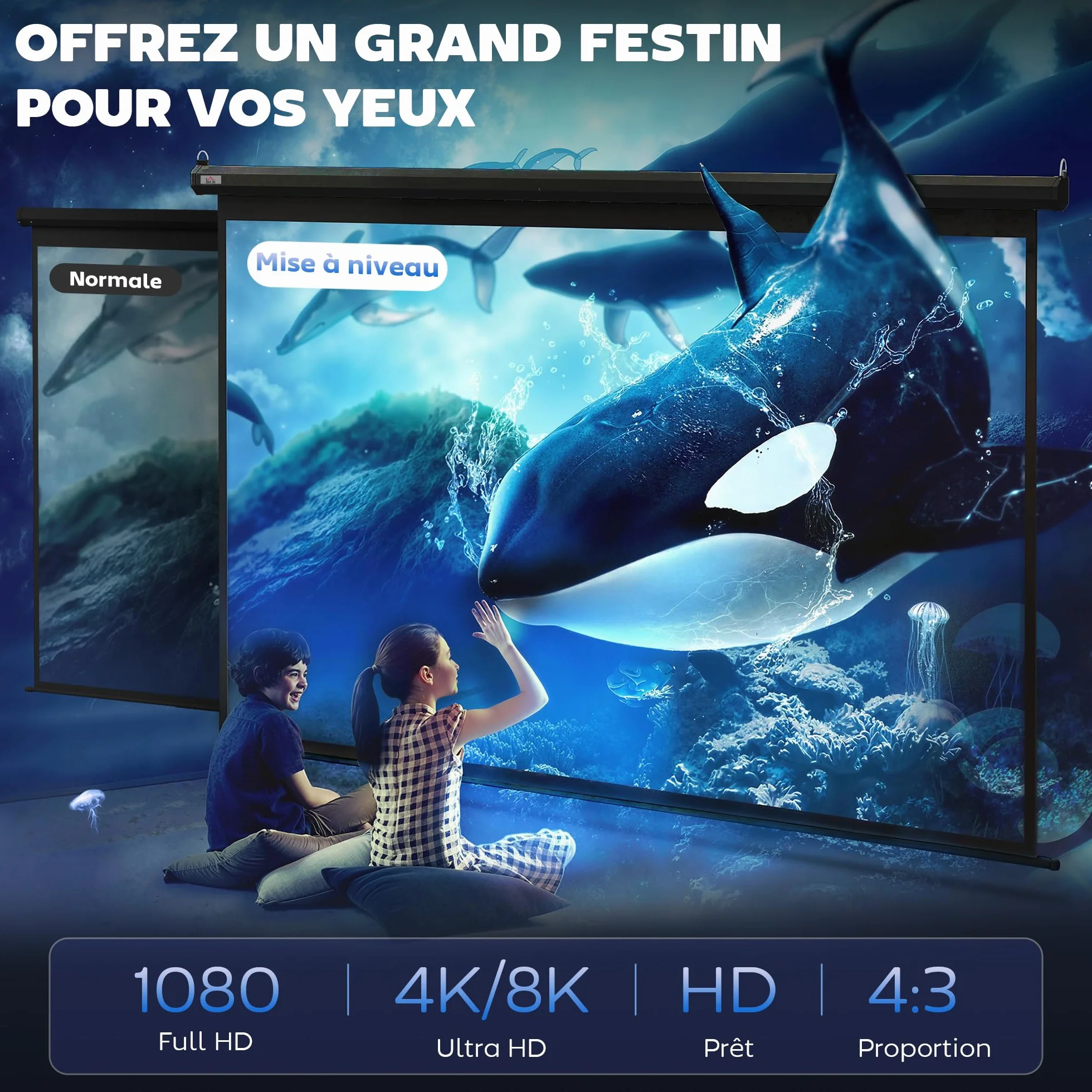 HOMCOM Écran de Projection 120" 4:3 HD 4K, Videoprojecteur avec Boîtier Métal, Réglable en Hauteur, Noir