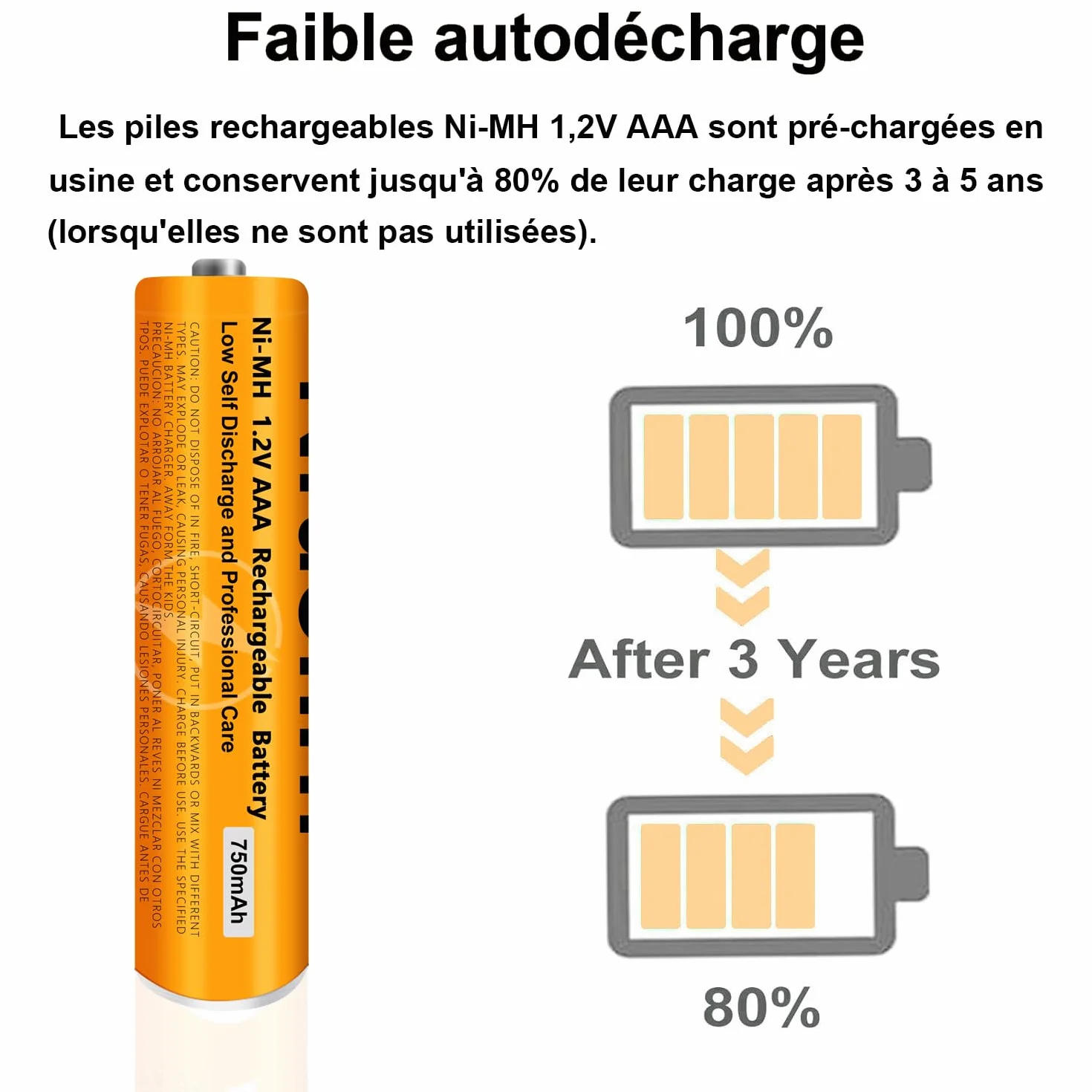 Piles Rechargeables AAA 750mAh 1,2V Ni-MH Lot de 6 pour Gigaset Panasonic