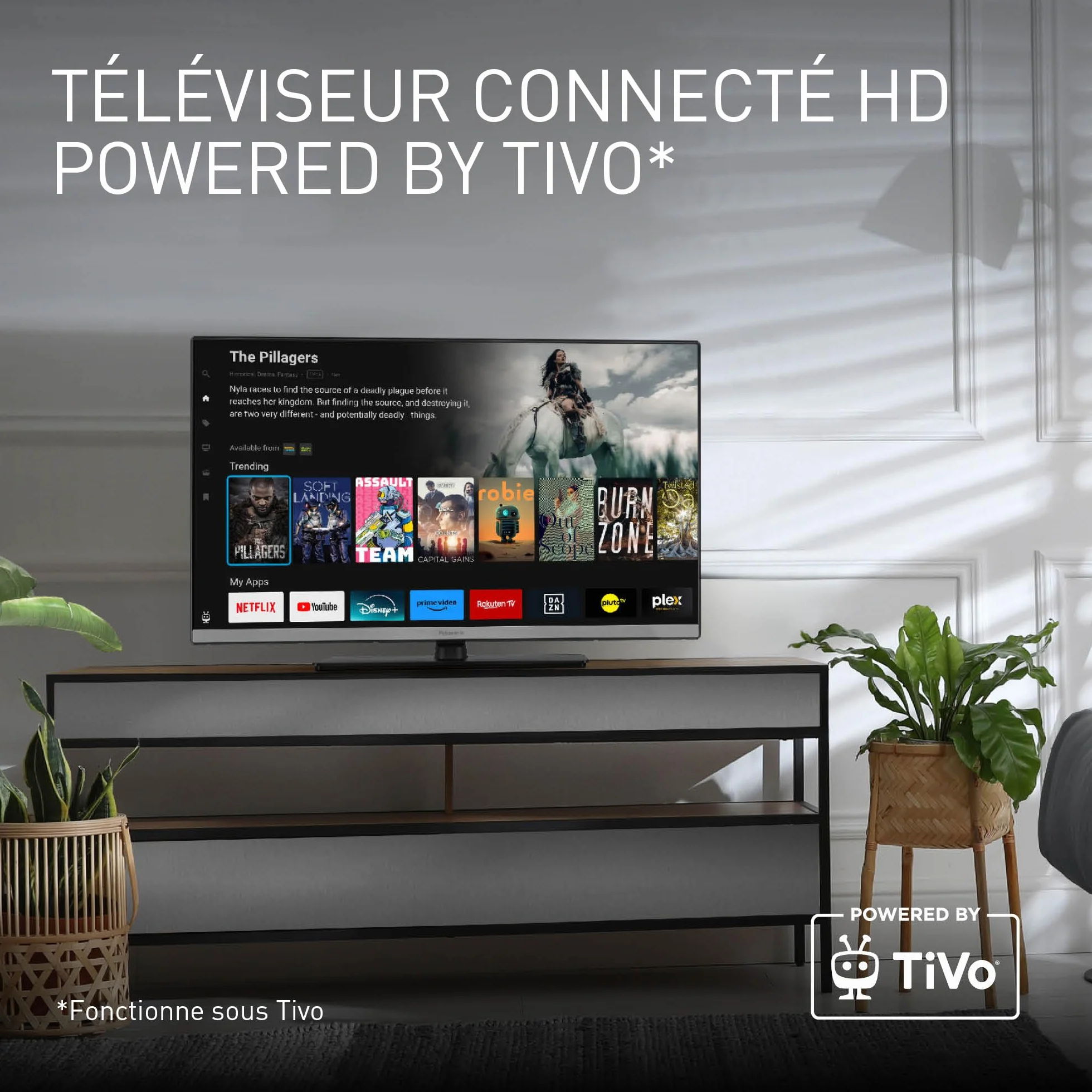 Panasonic TB-24S40AEZ Série S40 24 Pouces HD LED Smart TV TiVo Google Alexa HDR HDMI WLAN Mode Jeu
