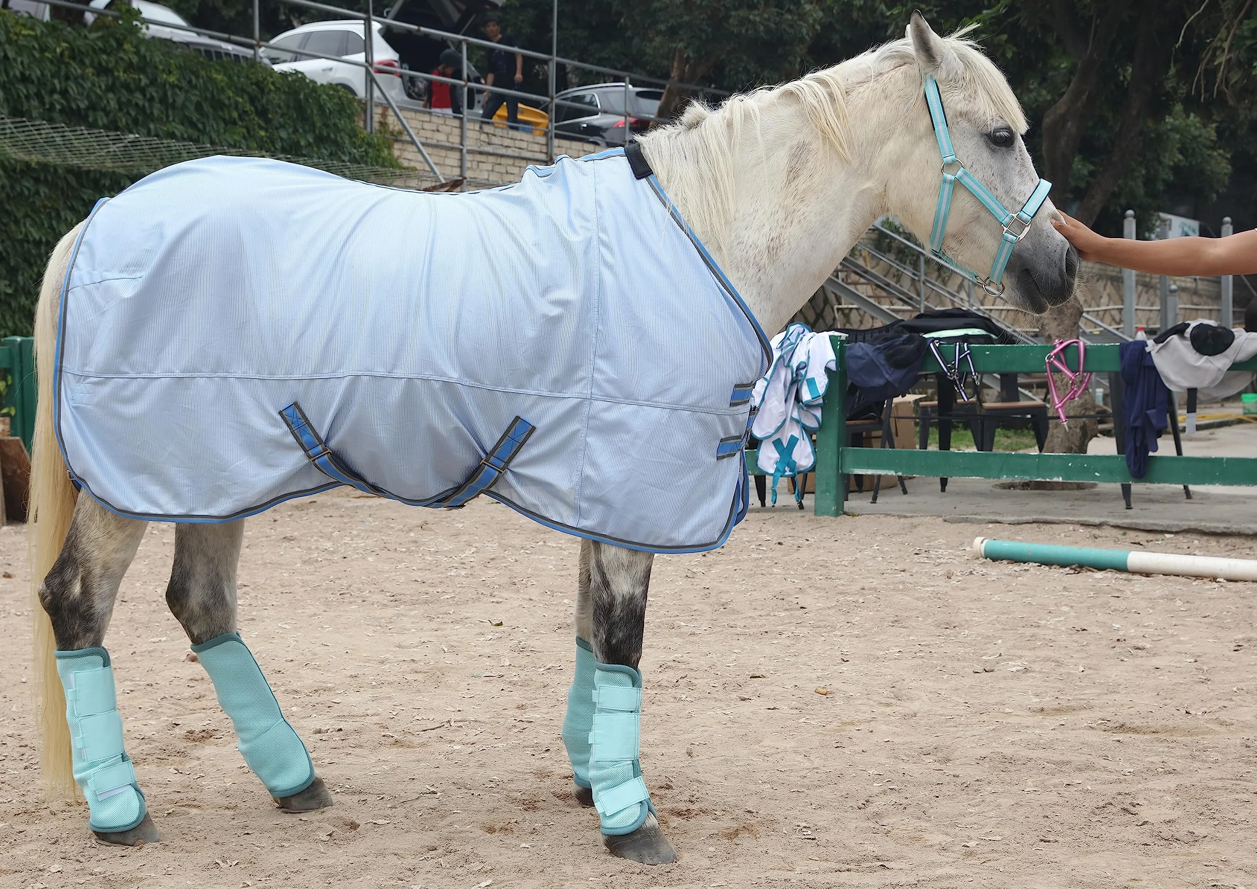 LEAFOREST Lot de 4 bottes anti-mouches pour cheval - Protection maximale contre les mouches (bleu, poney)