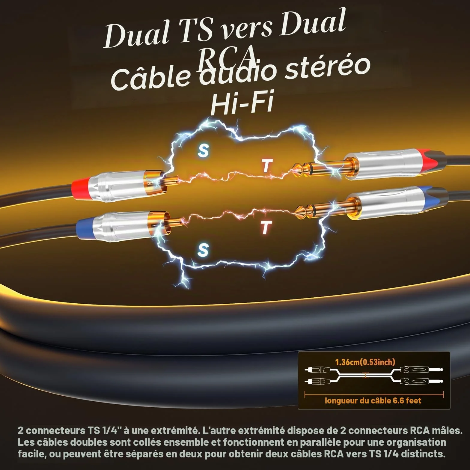 Tisino RCA vers Jack 6,35mm Câble, 2 x RCA mâle vers 2 x jack mono Audio Connecteur Adaptateur, 1m