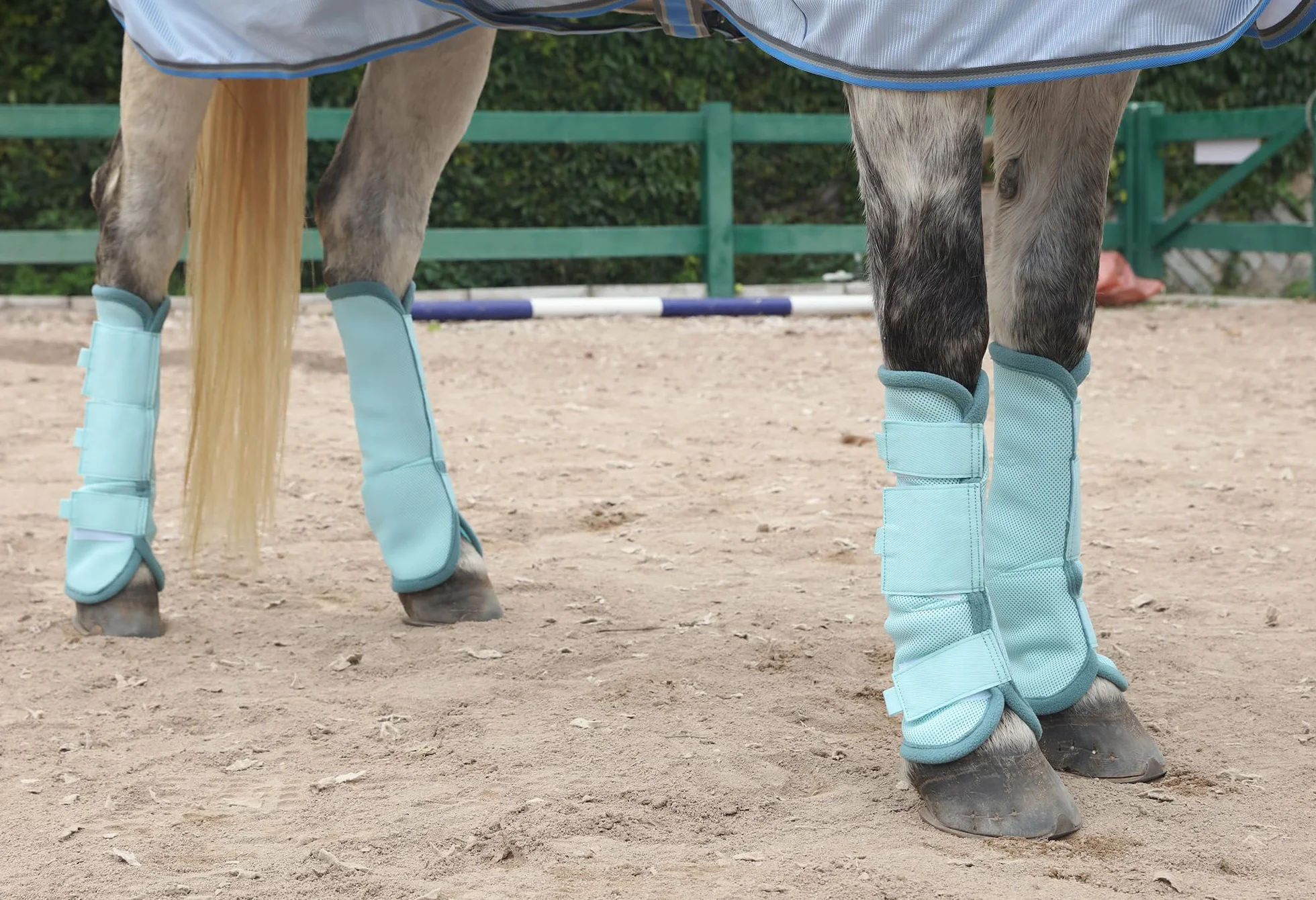LEAFOREST Lot de 4 bottes anti-mouches pour cheval - Protection maximale contre les mouches (bleu, poney)