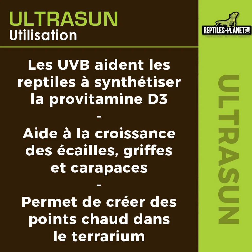 Reptiles Planet Ultrasun 70 W Ampoule UVA UVB pour Reptiles