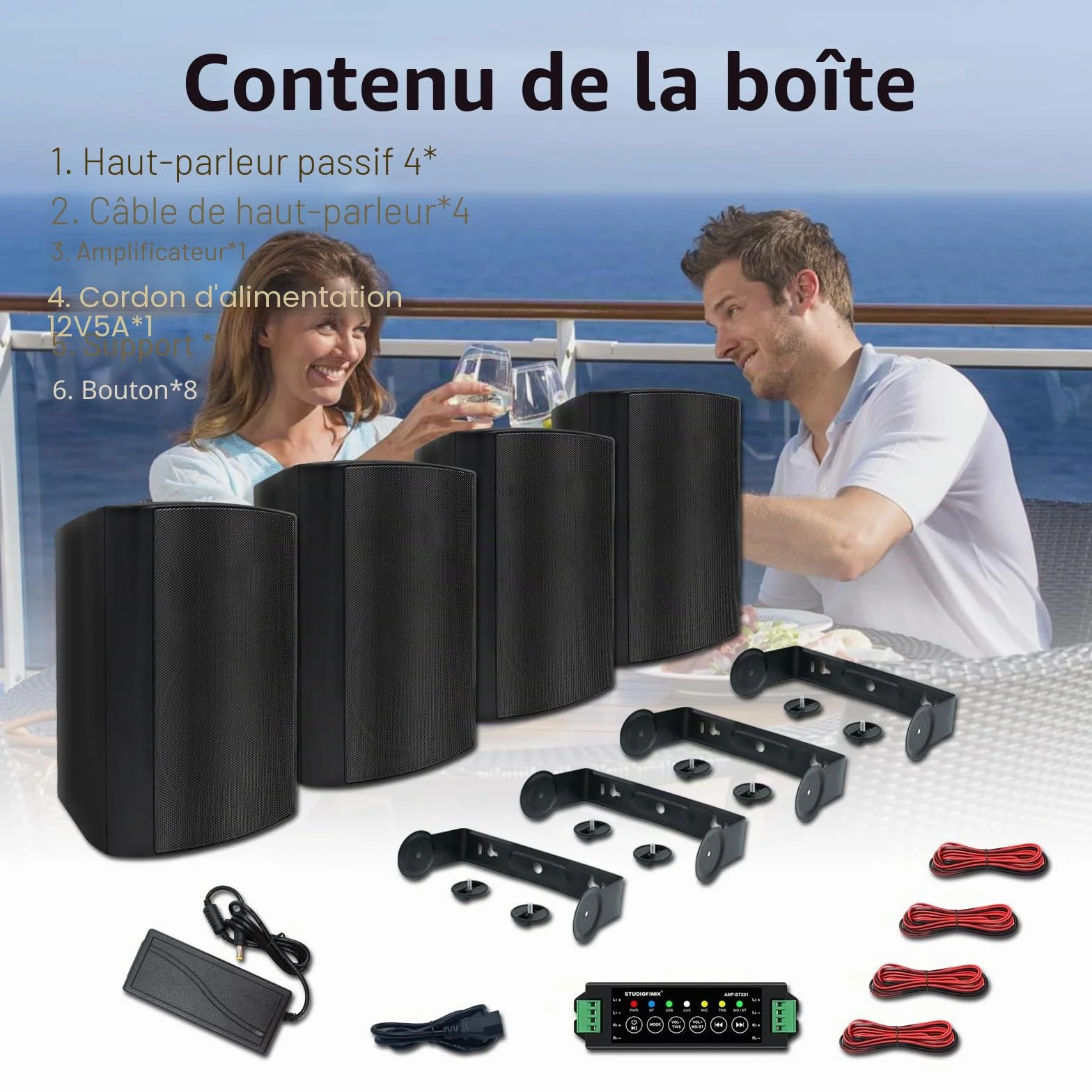 STUDIOFINIX 600Watts Etanche Enceintes d'extérieur Bluetooth 5.25 Pouces Haut-parleurs Extérieurs étanches pour intérieur extérieur(4 Haut-parleurs，Noir)