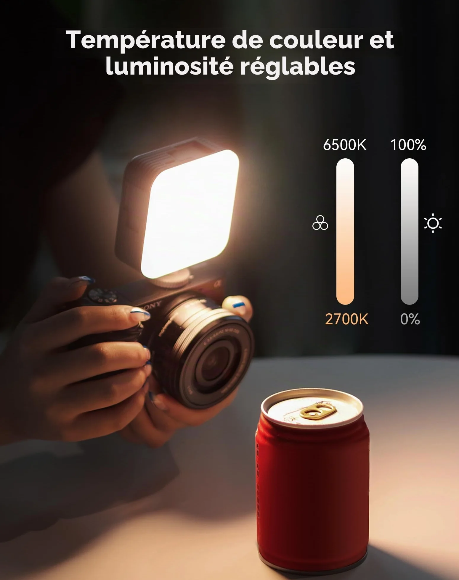 SMALLRIG P96 Lampe Vidéo LED, Lumières LED pour Camera Portable, 96 Perles LED pour Éclairage de Vidéographie Photographique, Panneau Rechargeable 2200mAh CRI95 + 2700-6500K avec 3 Cold Shoe - 3286B