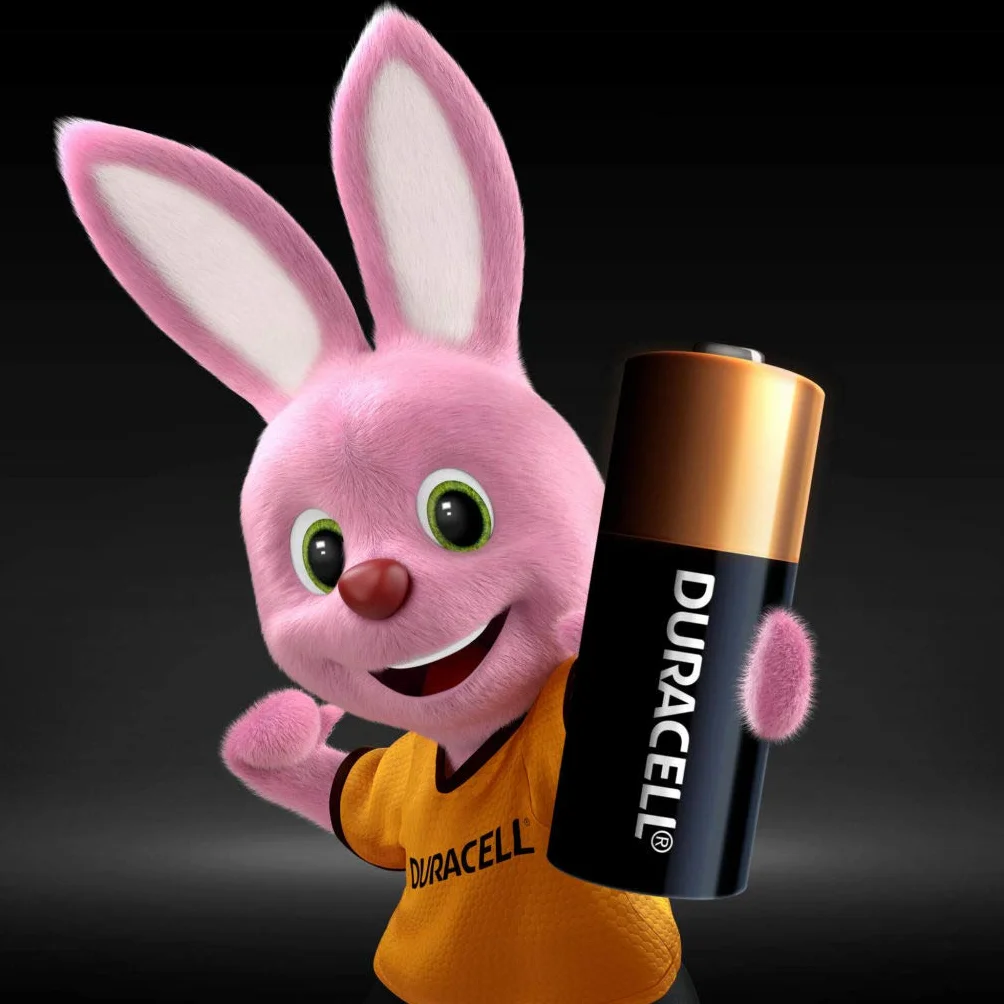 5 x Duracell MN21 A23 23A (1 blister de 5 batteries) 5 piles