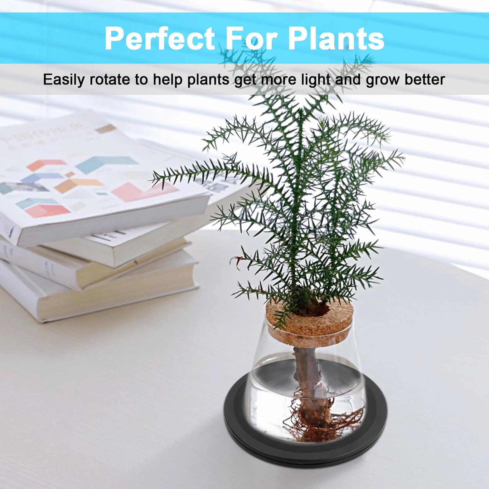 20cm Support Plaque Tournant Rotatif, 360° Pivotant Plateau Tournante avec Roulements à Billes en Acier, Heavy Duty Tourne-Disque Rond Rotatif pour TV Artisanat Plantes à Bonsaï, Noir
