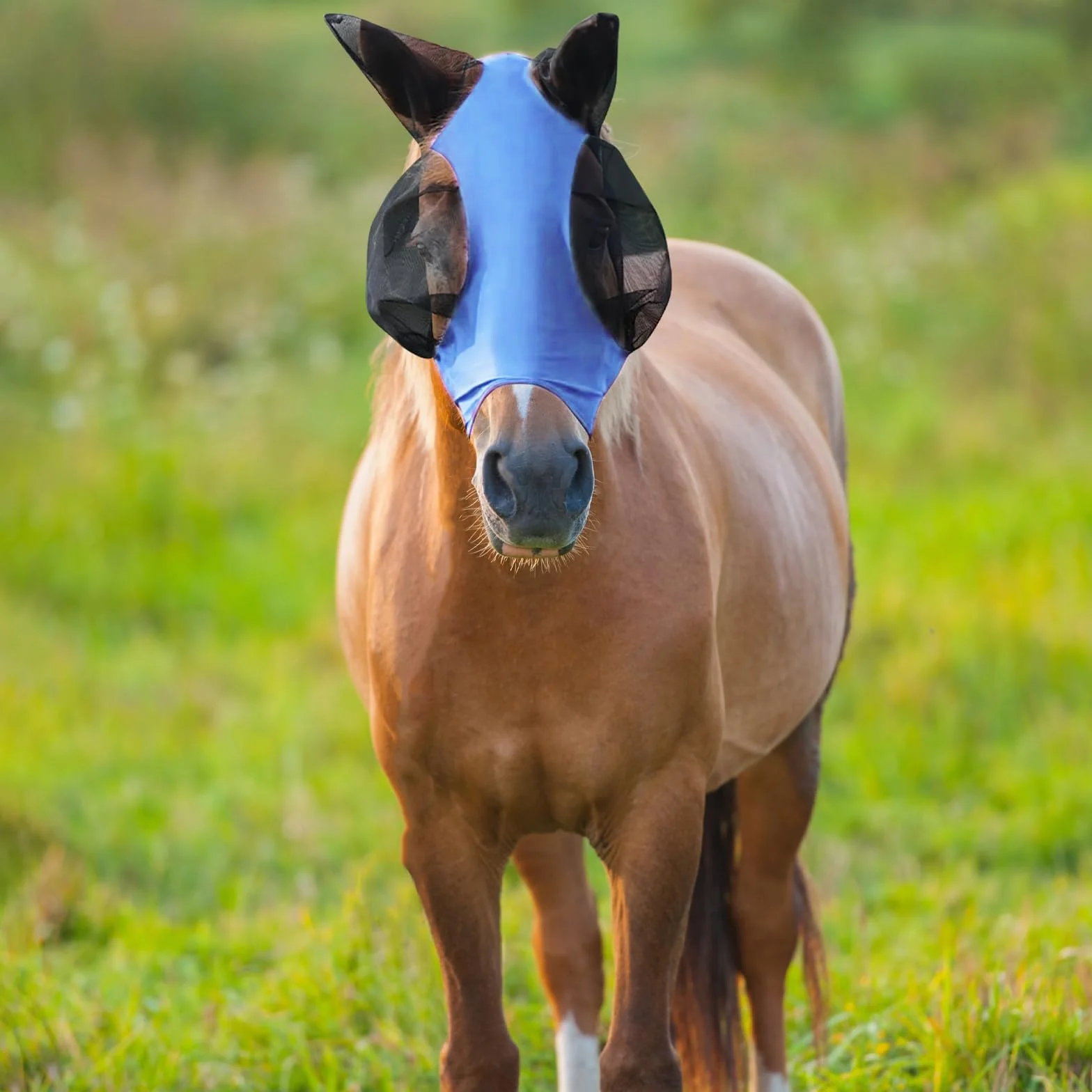 Masque Anti Mouche Cheval Protection UV élastique (Bleu)