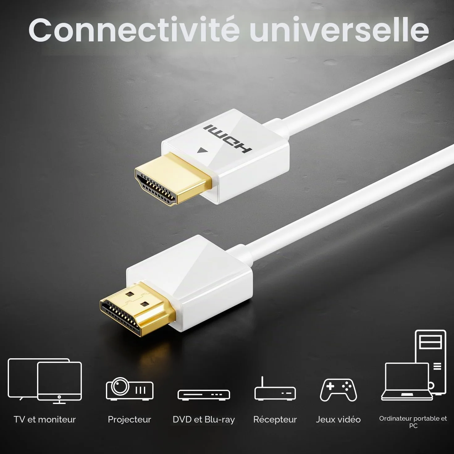 deleyCON 2m 4K HDMI 2.0 Câble Slim (Petit et Flexible Câble HDMI) - 1080P 2160P UHD ARC HDR 3D pour TV, Moniteur, Projecteur, Laptop, Notebook, PC, Ordinateur, PS4, PS5, XBOX - Blanc
