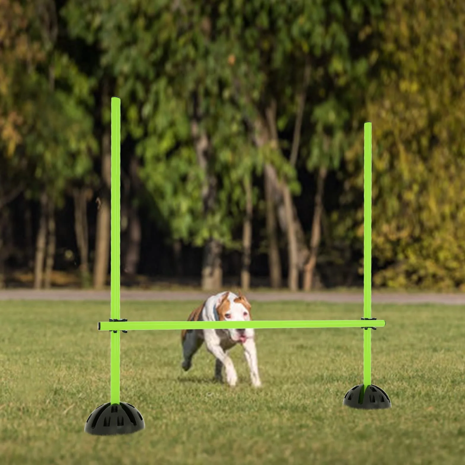 YRHome Kit de barres de saut d'entraînement d'agilité 15x100 cm 10 pieds X 10 clips verts