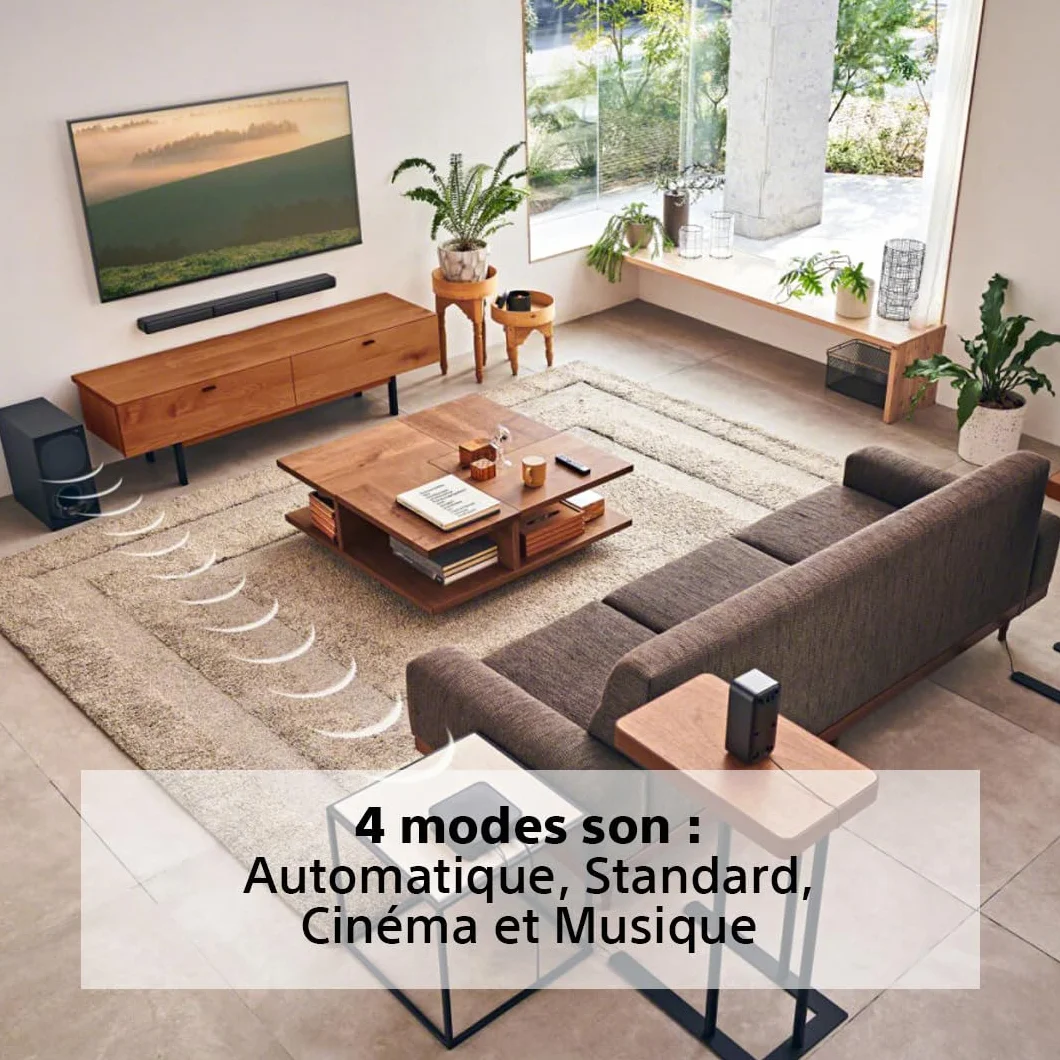 Sony HT-S40R Barre de Son 5.1ch Home Cinéma sans Fil Noir