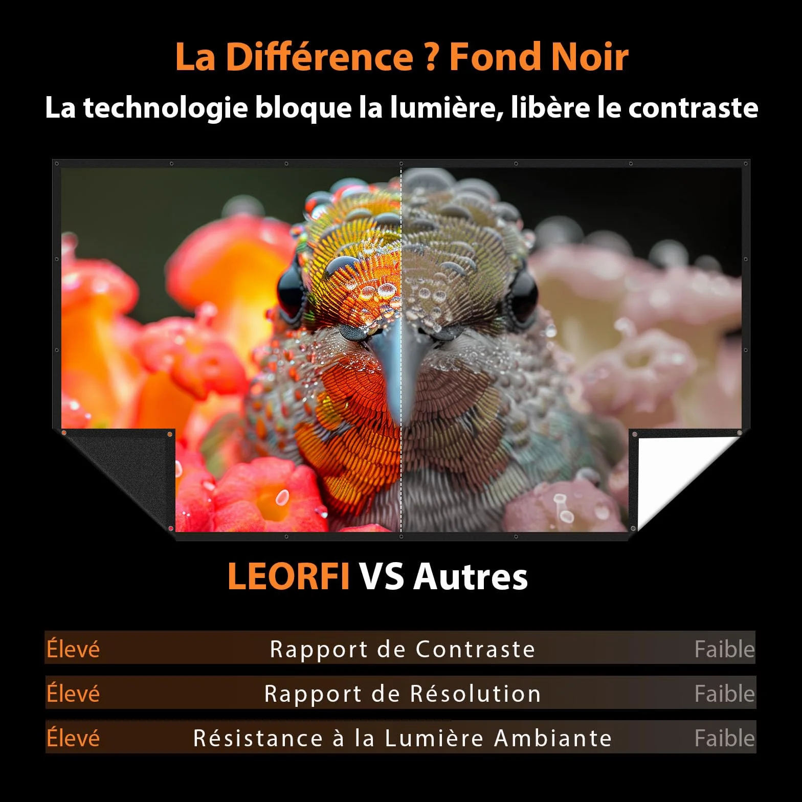 VOOPVOR Écran de Projection 150" Pliable Portable 16:9 Noir Opaque Lavable sans Plis