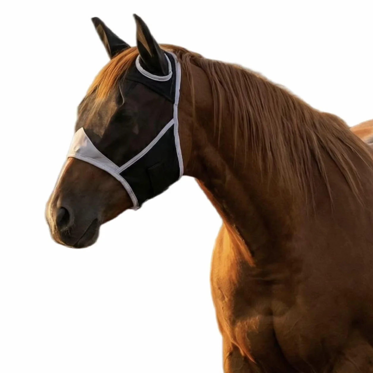 Masque Anti Mouche Cheval Noir avec Oreilles One Piece, Protection Anti-Tau pour Chevaux (L)