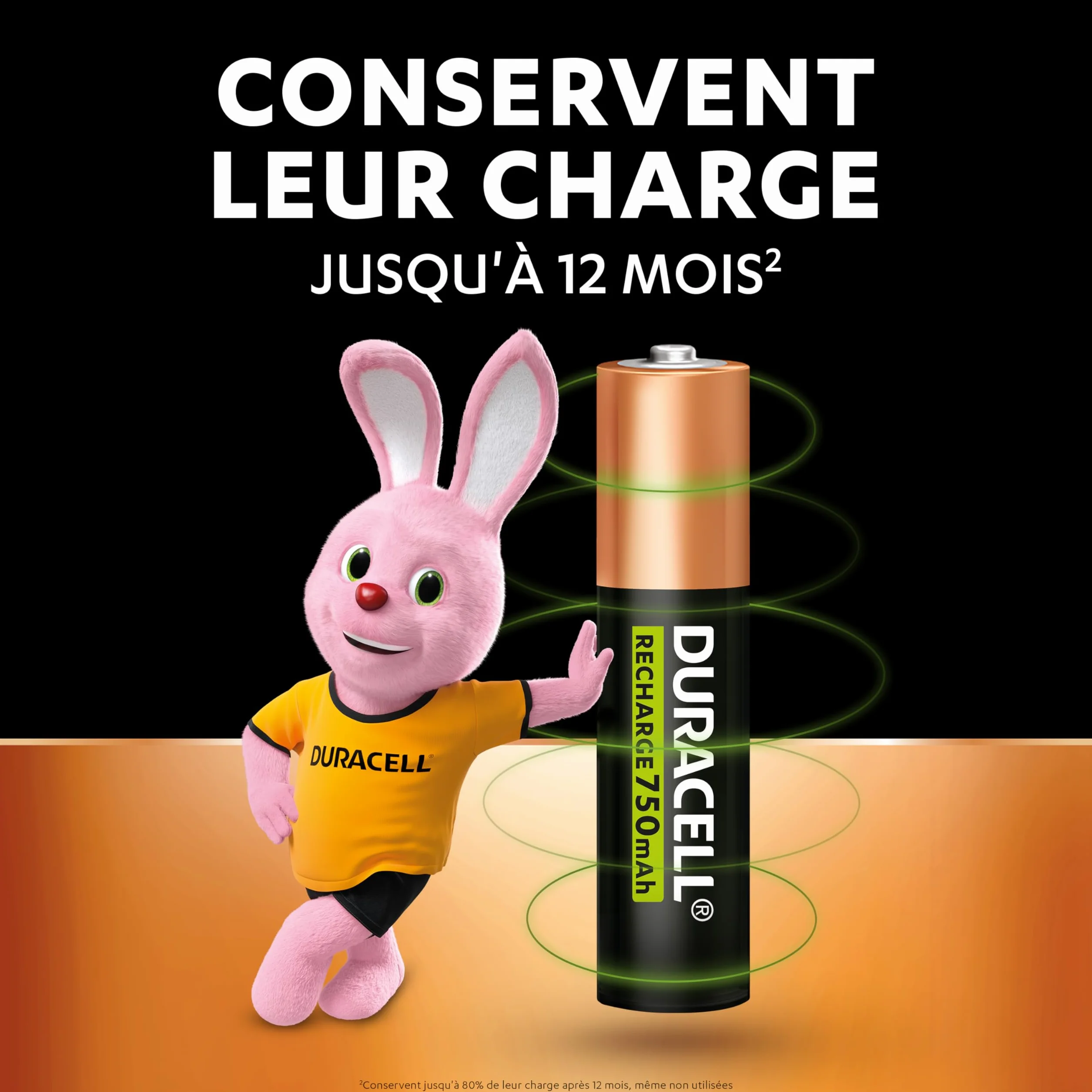 Duracell Piles AAA Rechargeables 750 mAh NiMH Lot de 4 1000 Recharges Pré-chargées