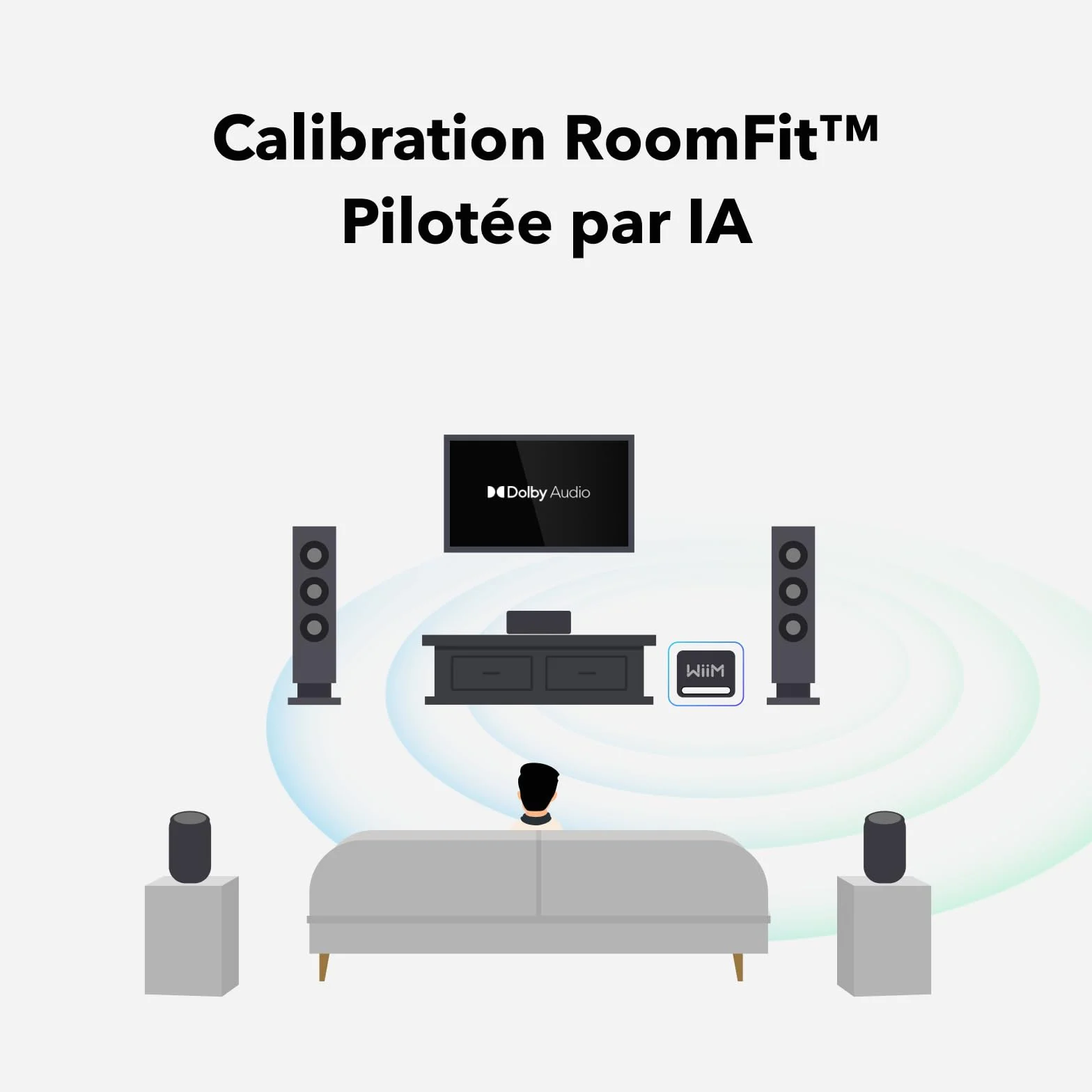 WiiM Sub Pro Caisson de Basses sans Fil Intelligent 8" 250 W AI RoomFit Wi-Fi 6 BT 5.3 Noir