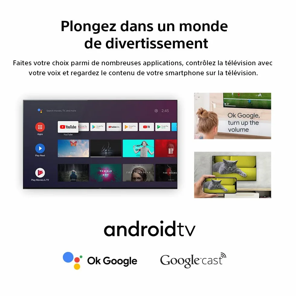 Sony BRAVIA KD-32W800-32 Pouces - HD - High Dynamic Range (HDR) - HDMI inclus- Android TV Noir