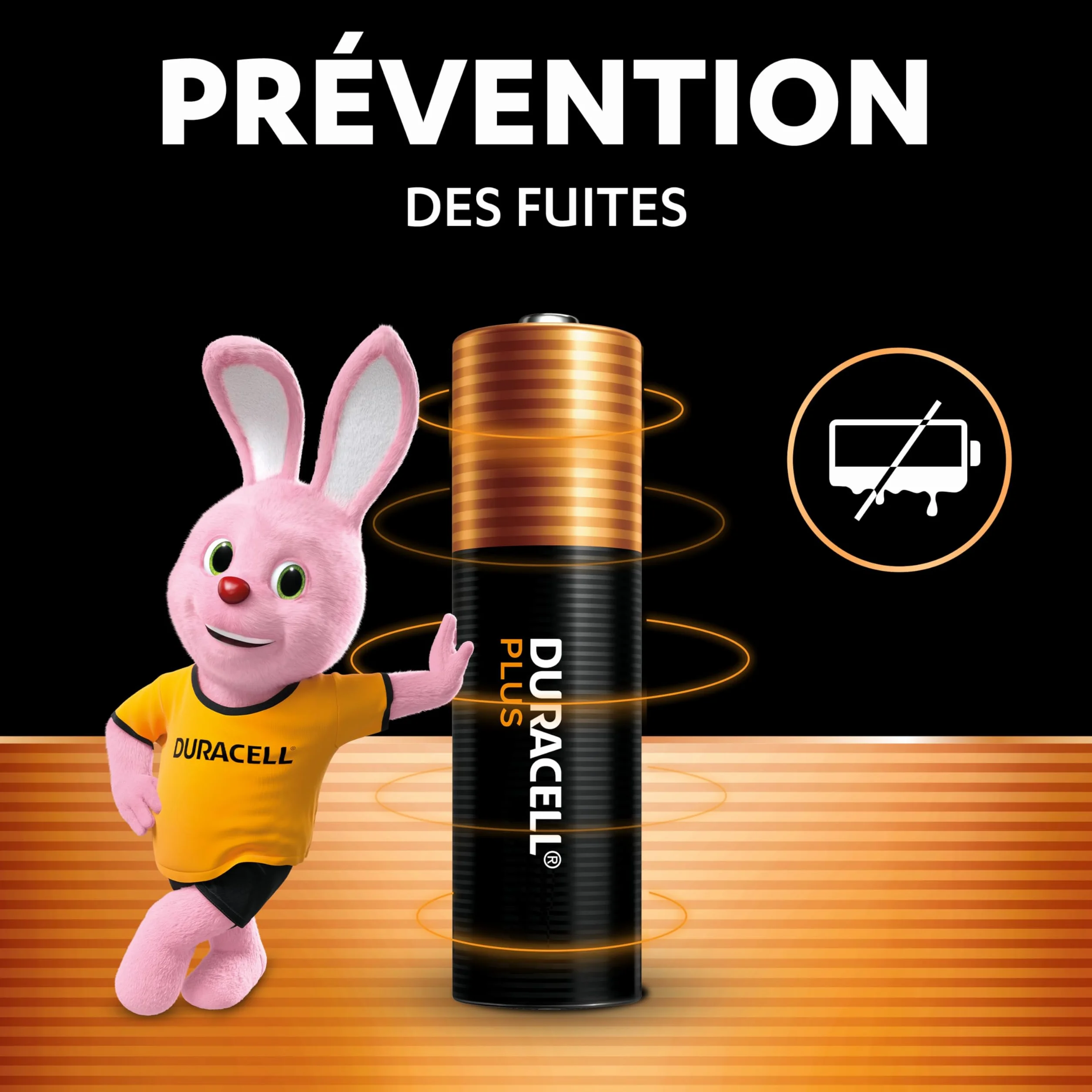 DURACELL Plus Piles AAA (Lot de 12) – Piles Alcalines 1,5 V–Durent jusqu’à 100 % plus longtemps grâce aux Actifs POWER BOOST–Fiable pour vos Appareils du Quotidien–Emballage 0 % Plastique–MN2400