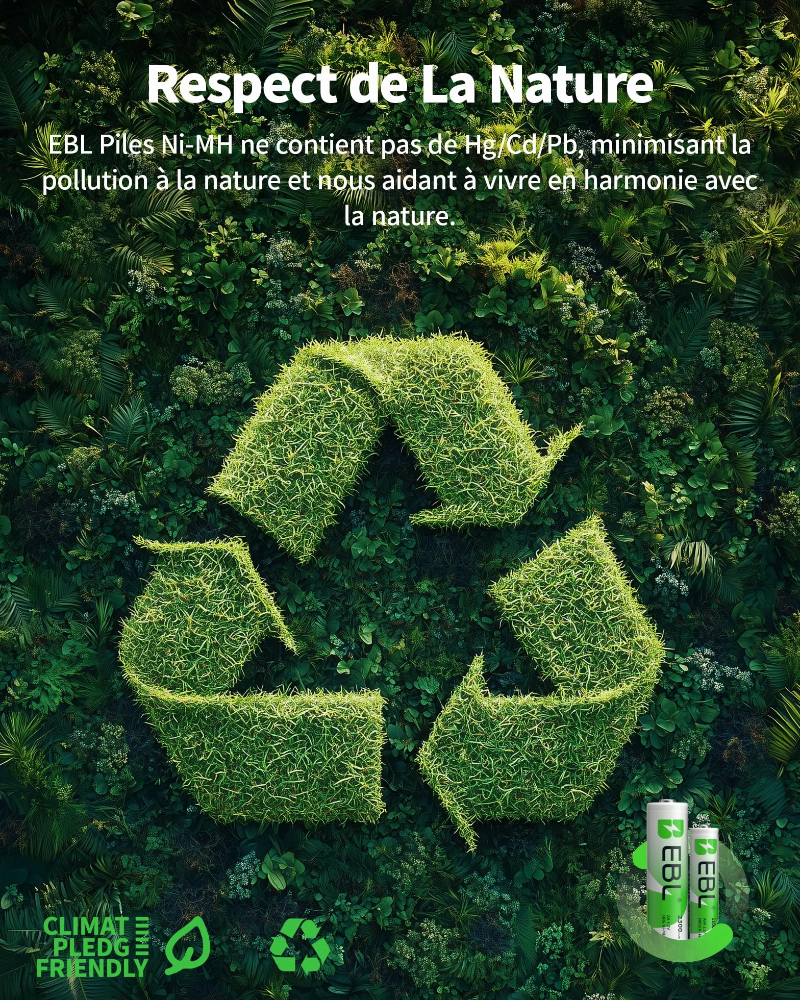 EBL Lot de 16 Piles Rechargeables AA AAA Ni-MH 1.2V HR6 HR03