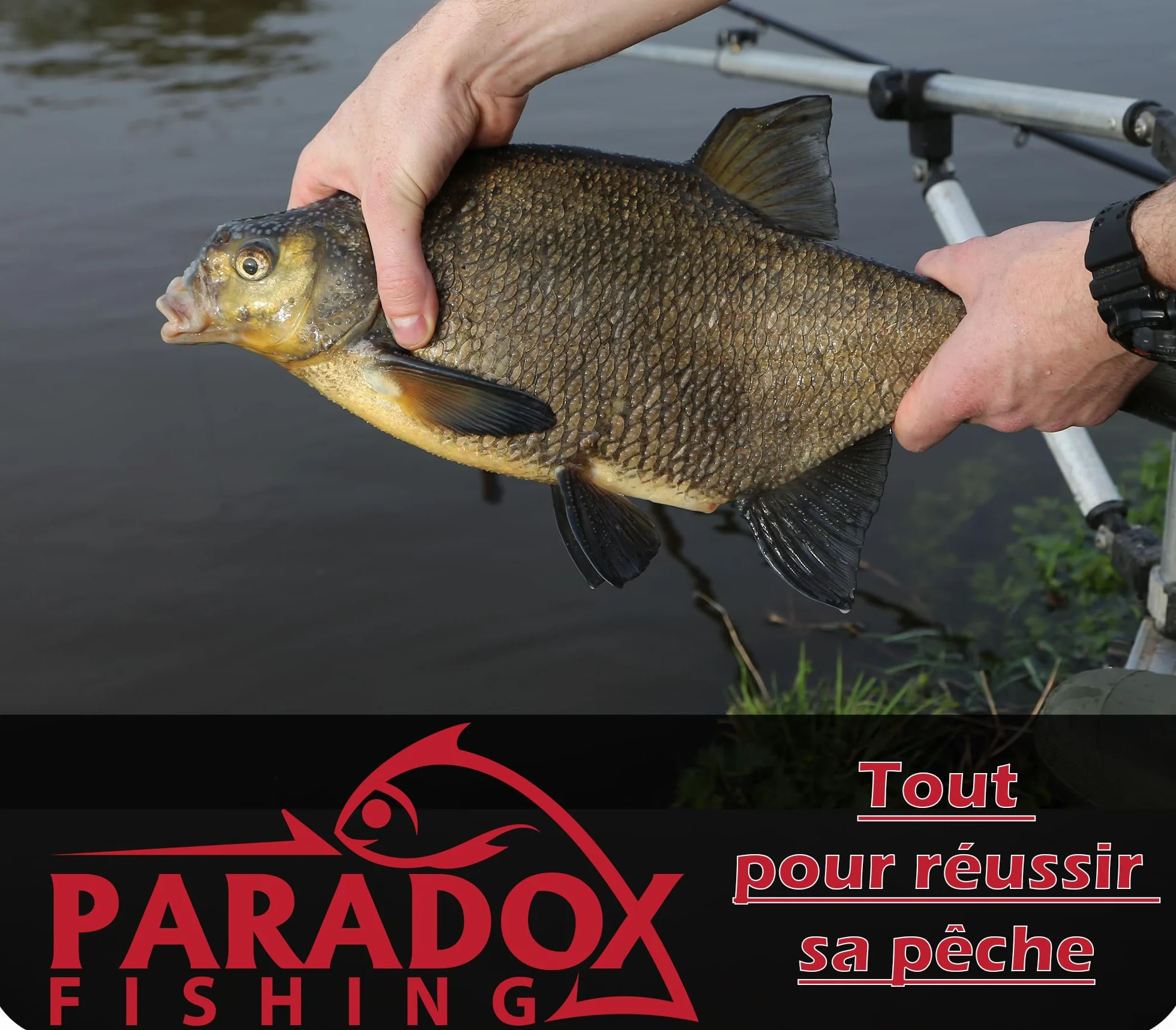 Paradox Fishing Lot de 5 flotteurs de pêche 2g 4g 8g pré-blanchi