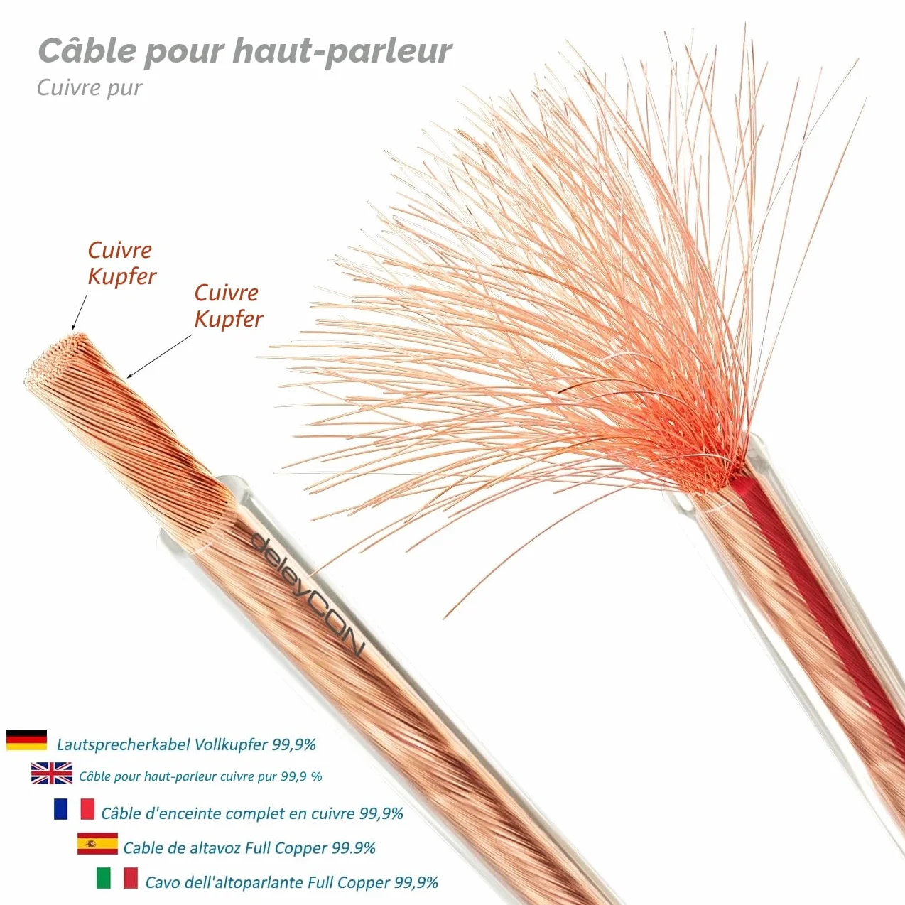 deleyCON 10m Câble Haut-Parleurs 2x 2,5 mm² - Pur Cuivre OFC - Audio pour Enceintes HiFi & Surround - Repérage des Polarités - Transparent