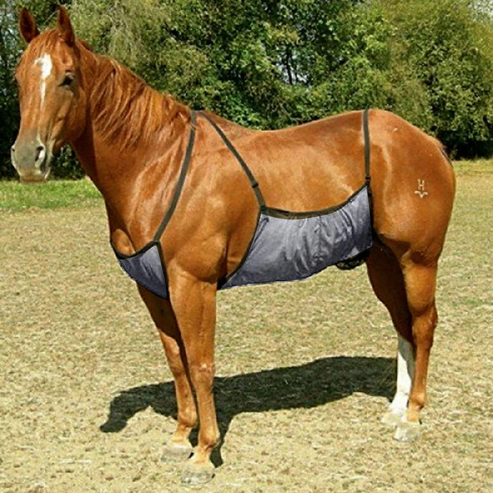 Protège-Ventre Cheval Anti-Mouches Résistant aux Rayures Léger Respirant