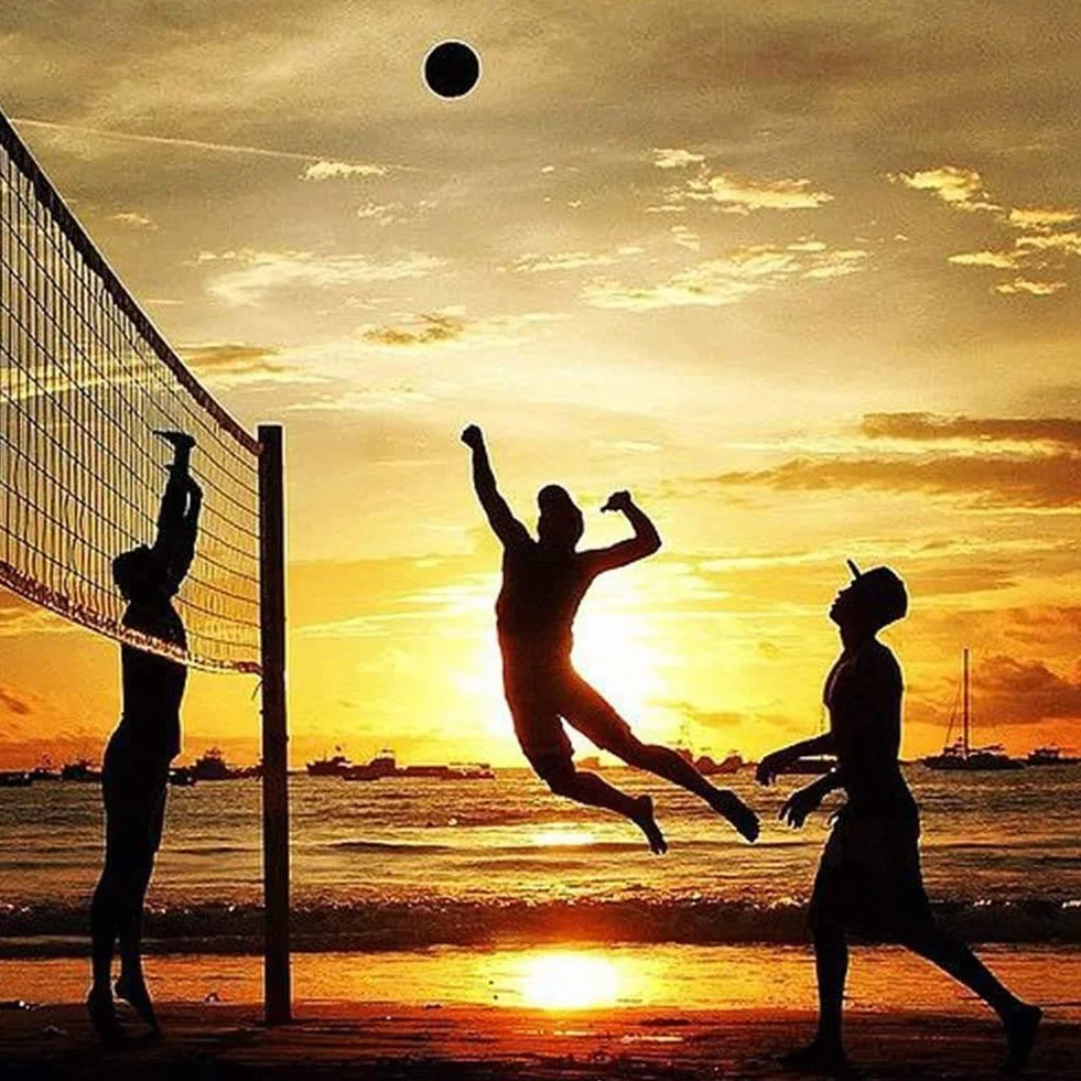 Filet de Volleyball 9.5M x 1M de Plage avec Sac