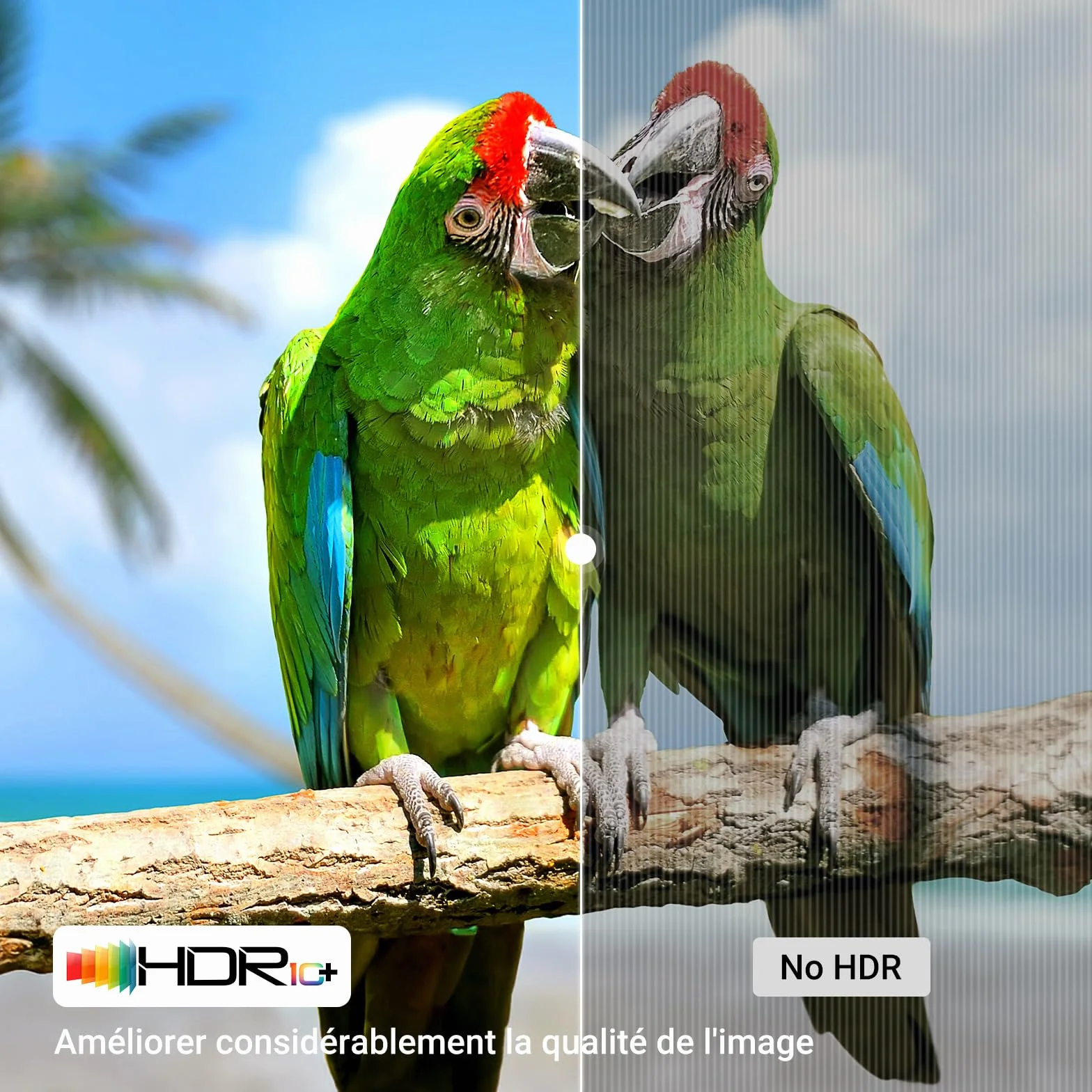 UGREEN Câble HDMI 2.1 Certifié 8K 60Hz 4K 240Hz 48Gbps Aluminium 2M
