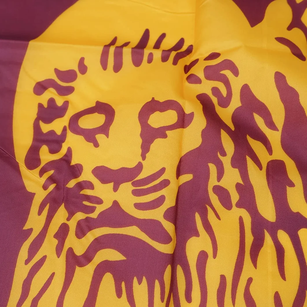 Drapeau Serenissima 90 x 150 cm Armoiries République Venise Lion Livre ouvert