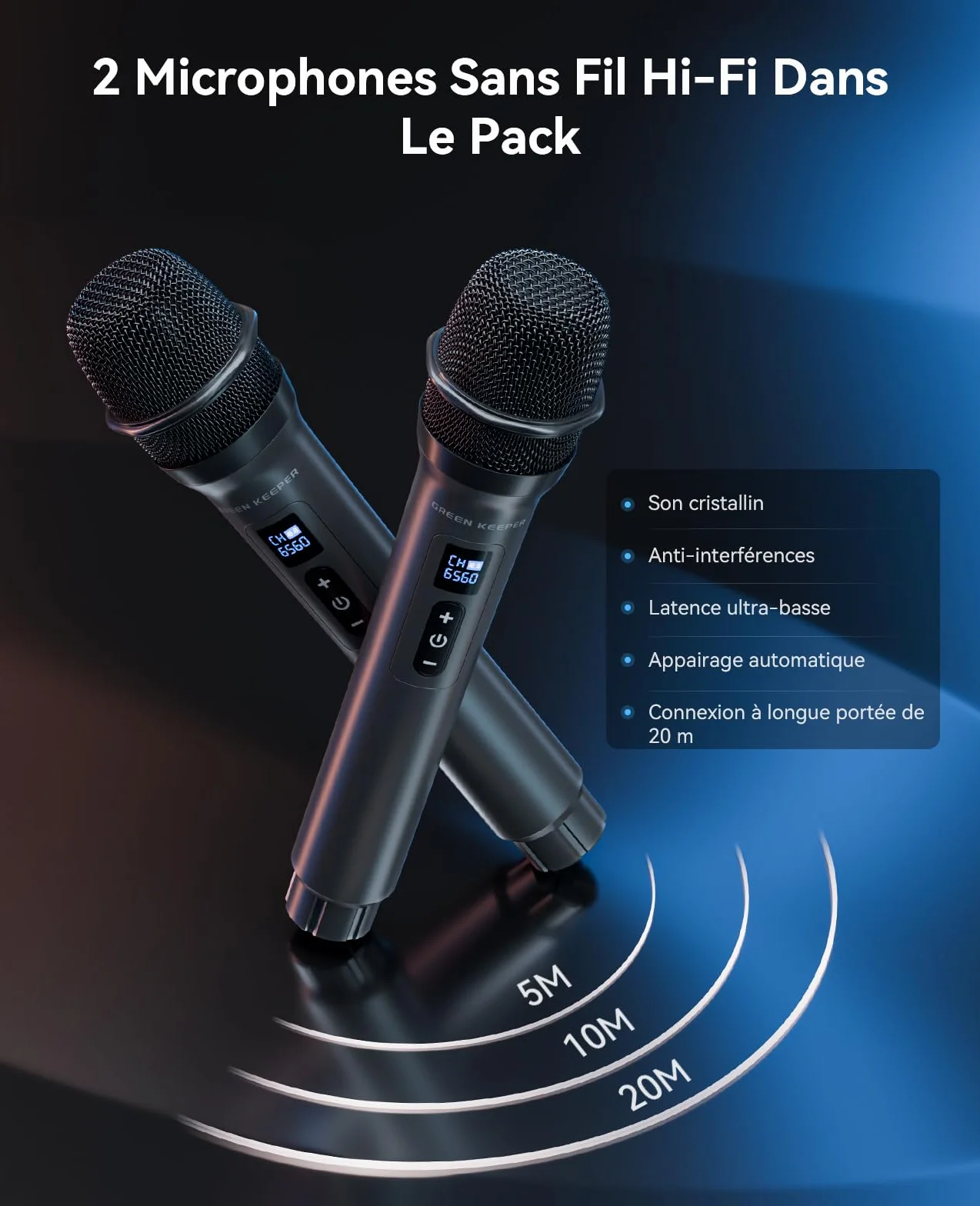 Enceinte Karaoke Adulte 400W Bluetooth sans Fil avec 2 Micros, Lumières LED, FM Radio, TWS/TF/USB/AUX