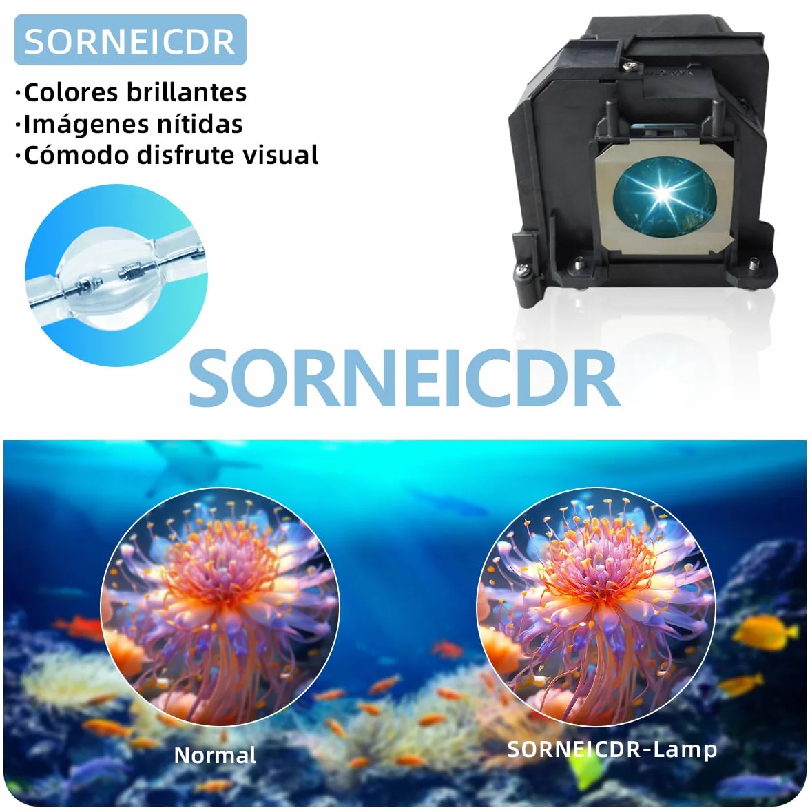 Lampe de Projecteur EL PLP71 compatible Epson eb-470 eb-475w eb-475we eb-475wi eb-475wie eb-480 eb-480e eb-485w eb-485wi eb-485we eb-1400wi eb-1410wi