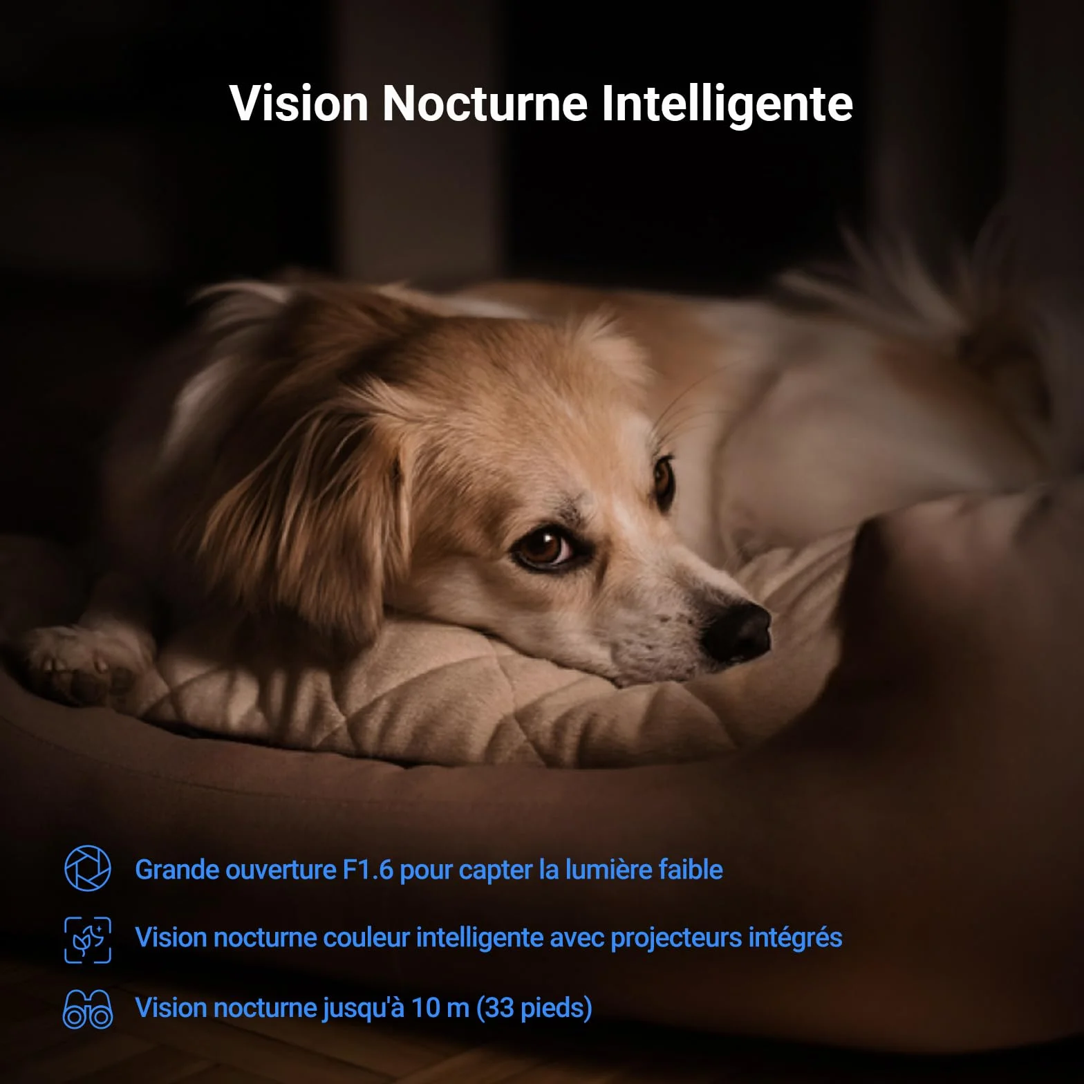 EZVIZ C6N G1 4K Caméra Surveillance WiFi Intérieure 360° Vision Nocturne Couleur WDR