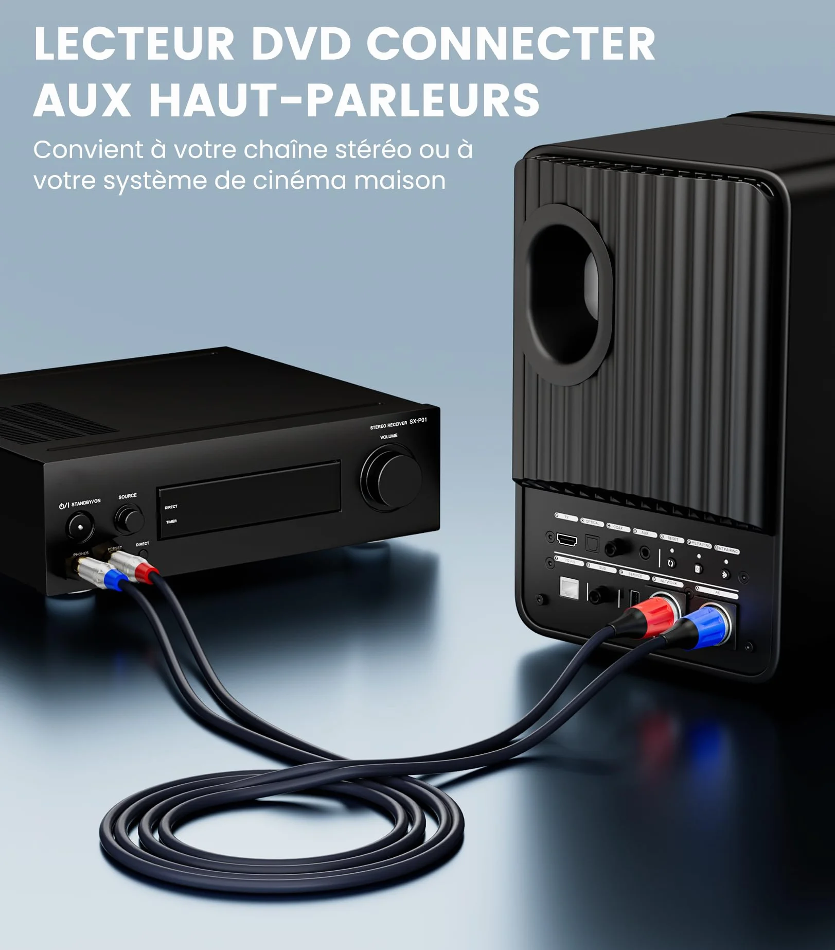 Tisino Câble double RCA vers XLR, 2 RCA vers 2 XLR mâles HiFi stéréo connexion microphone câble câble de chemin - 1 m