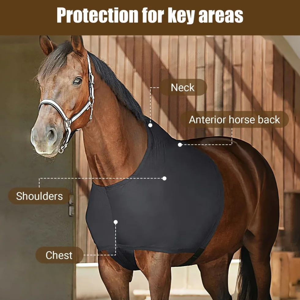 MiOYOOW Protection d'épaules pour Chevaux, Gilet d'équitation Extensible Anti-frottement