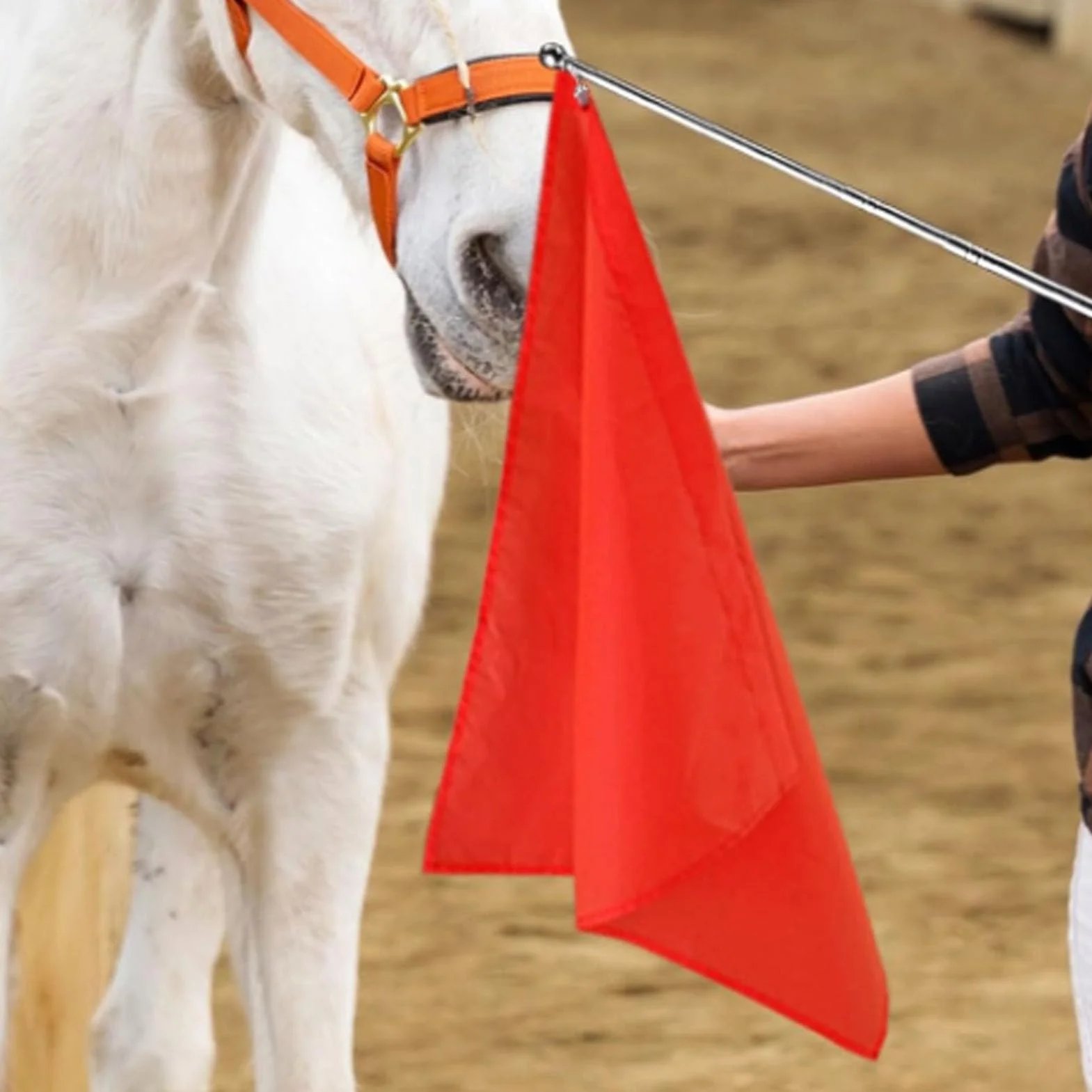 Drapeau d'entraînement équestre Portable en Nylon pour Chevaux, 2 Pièces