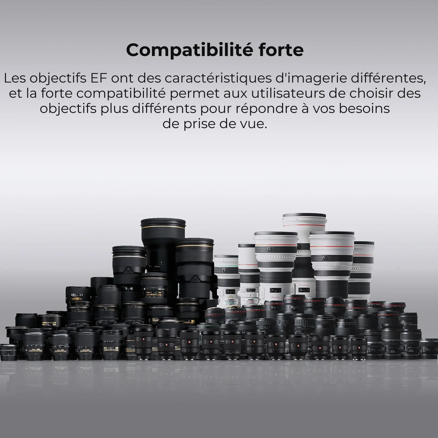 K&F CONCEPT compatibile Con Canon Auto EF/EF-S vers EOS R Adaptateur Métal avec Autofocus avec étui de Protection