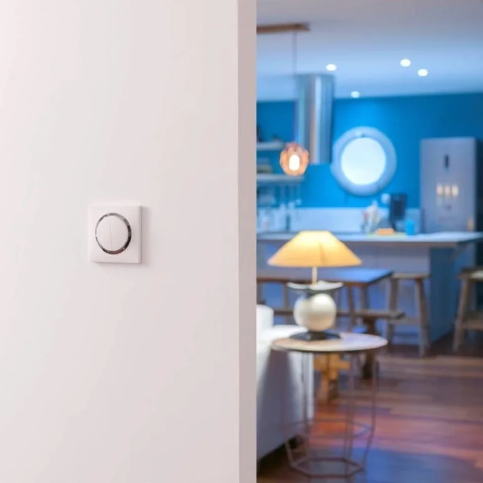 Legrand Bouton-Poussoir 6A Blanc Composable Connexion Rapide Sans Outil Compatible Plaques De Finition Personnalisables Design Moderne
