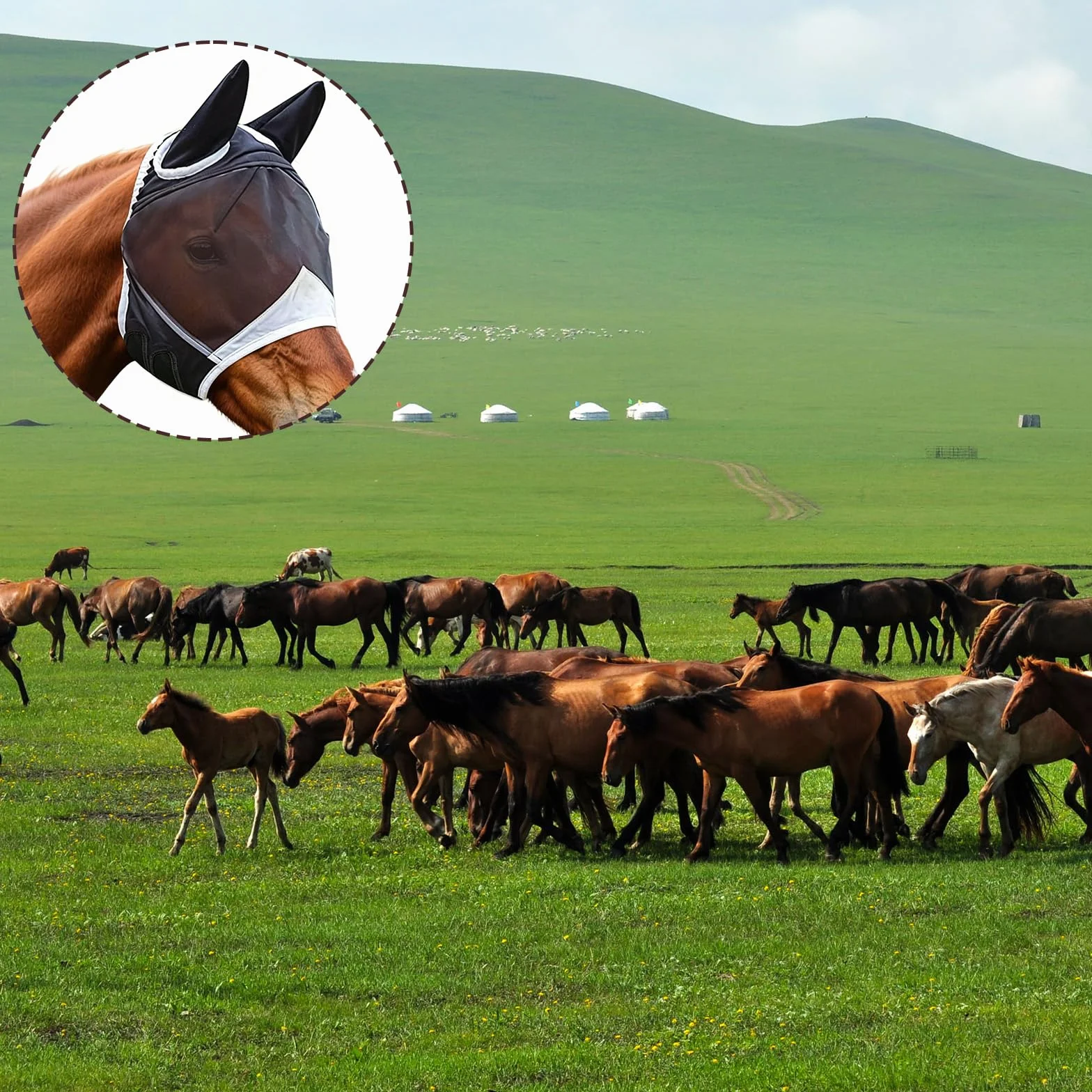 Masque Anti-Mouches Noir pour Chevaux Protection UV Respirant (L)