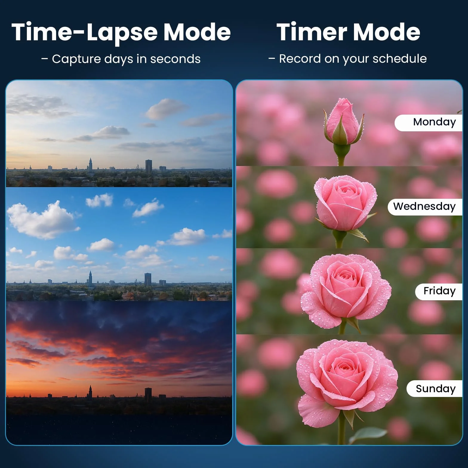 Caméra Time Lapse 1296P 48MP Zoom Numérique 6X Enregistrement 180 Jours avec Lumière LED 64 Go