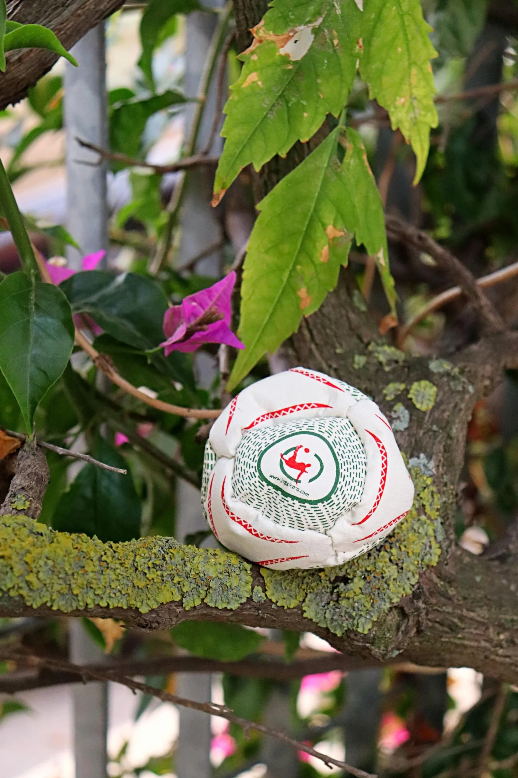 Footbag Officiel Coupe du Monde 2010 8 Panneaux Ultrasuede