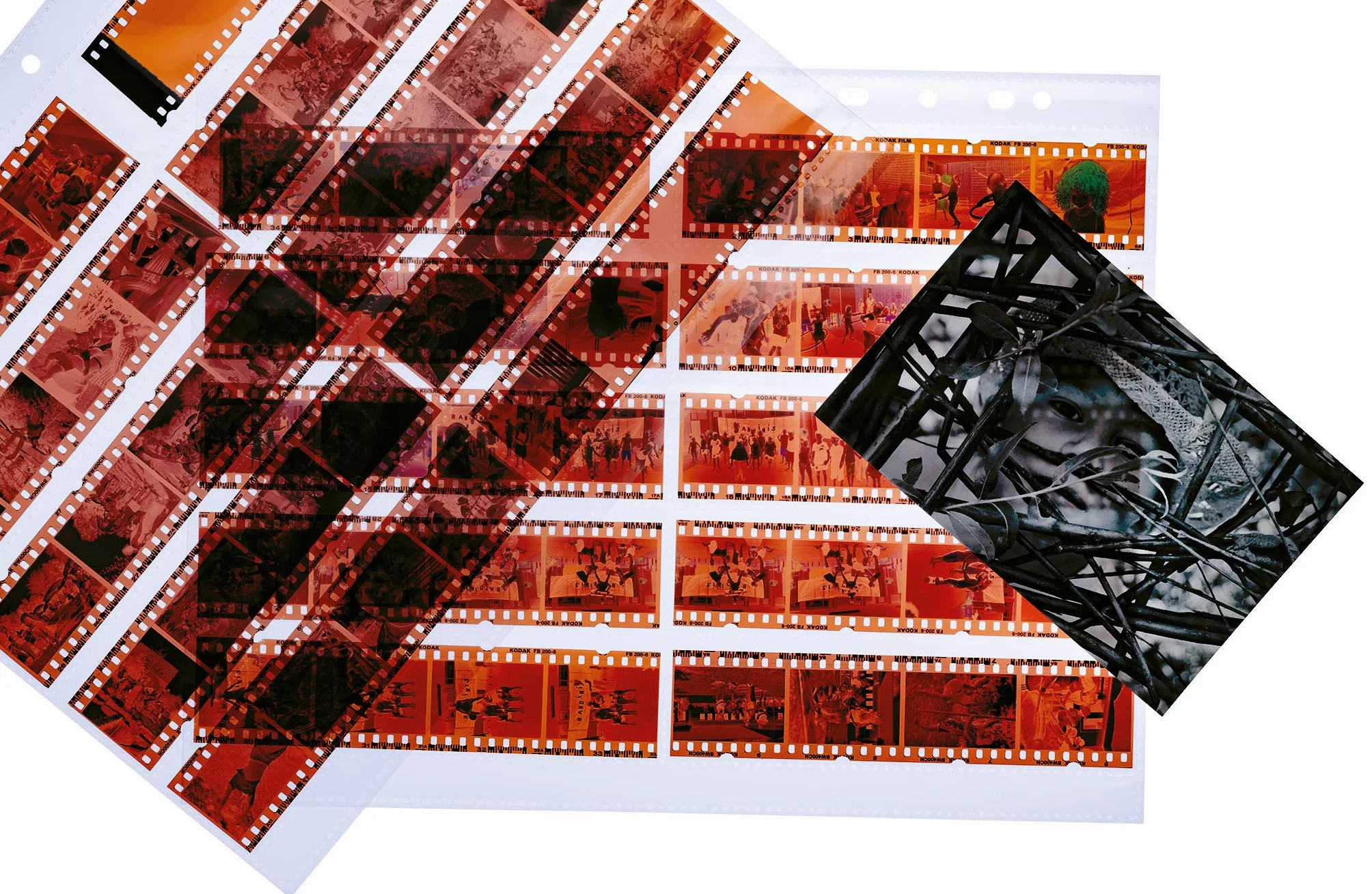 Herma 7760 Pack de 25 pochettes négatifs pour 10 bandes de 4 négatifs (Import Allemagne)