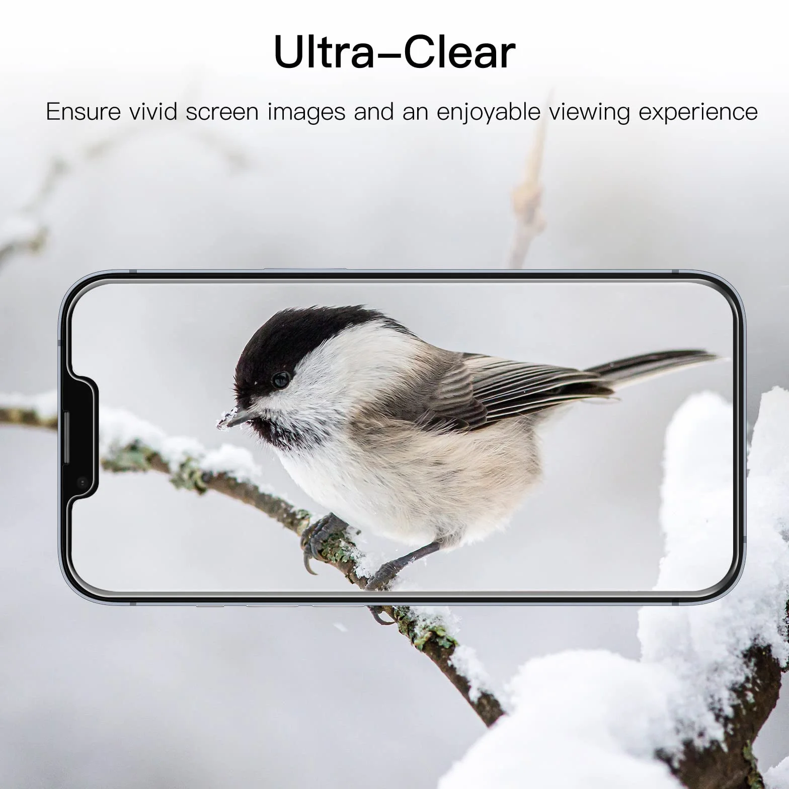 JETech Protection D'écran pour iPhone 17e (2026) / iPhone 16e / iPhone 14, Film en Verre Trempé, Écran de 6,1 Pouces, Lot de 3