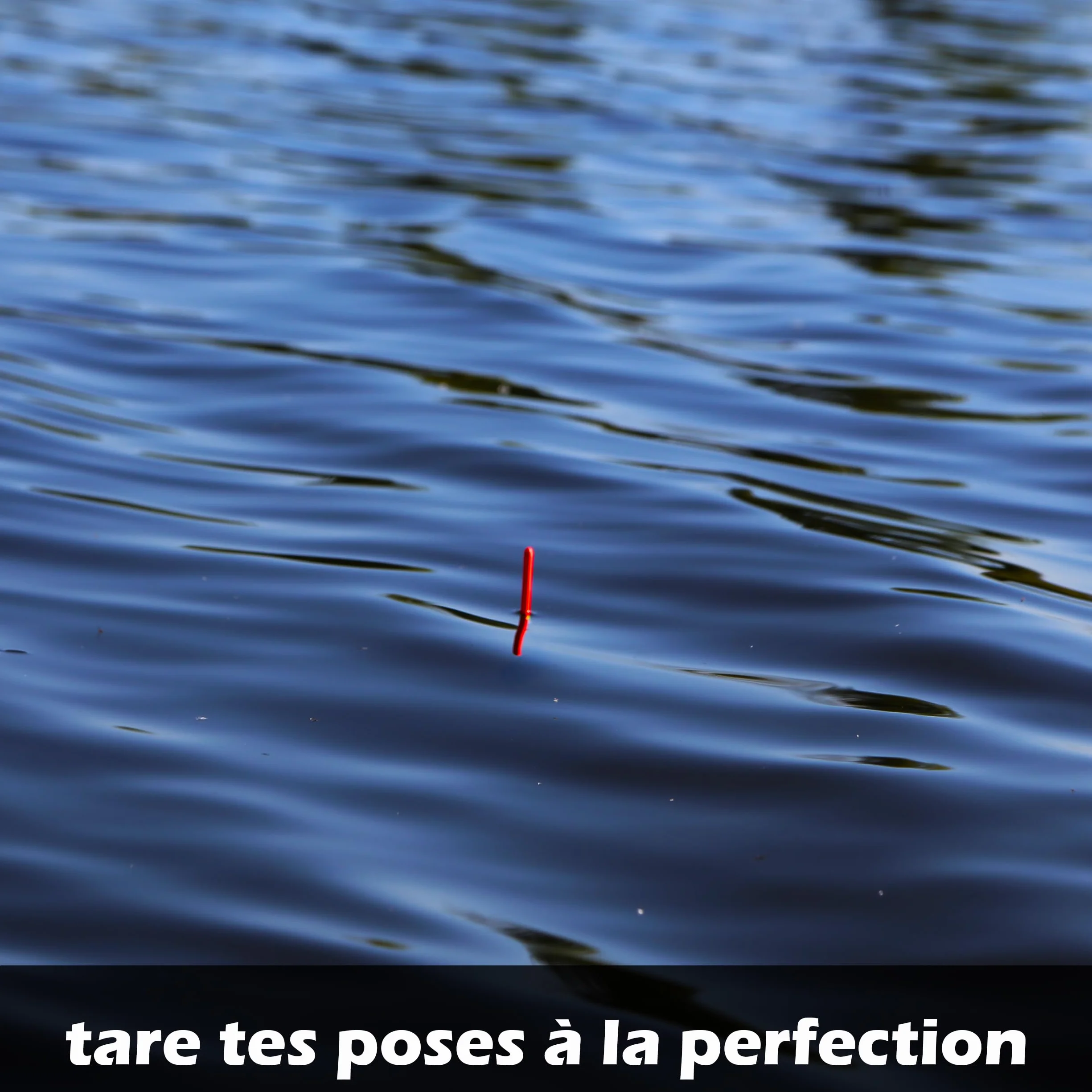 Paradox Fishing Plomb Peche 0,1g-2,0g